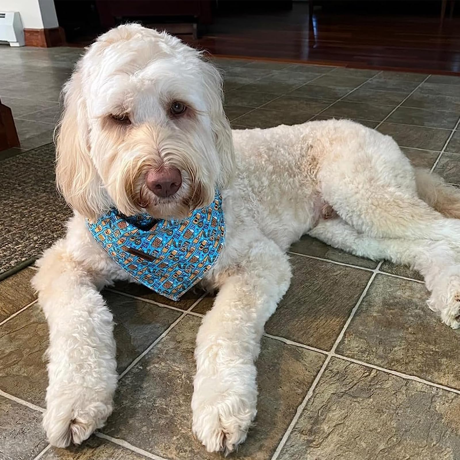 Lionheart Glory Dog Bandana 1 Pack Washable Soft Blue Dog Scarf, Beer Print Boy Bandana Square Adjustable Dog Bandanas For Small