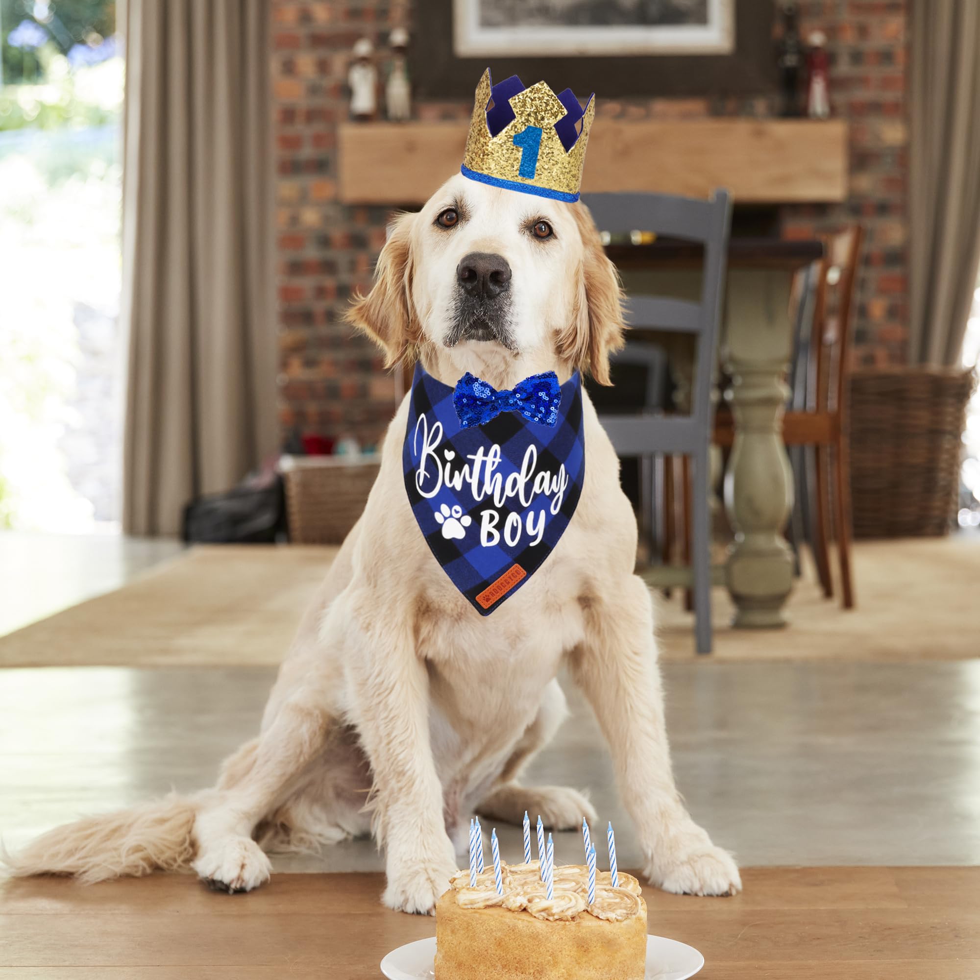 Adoggygo Dog Birthday Party Supplies, Blue Plaid Birthday Boy Dog Bandana, Golden Pet Party Hat With Numbers, Bowtie For Medium