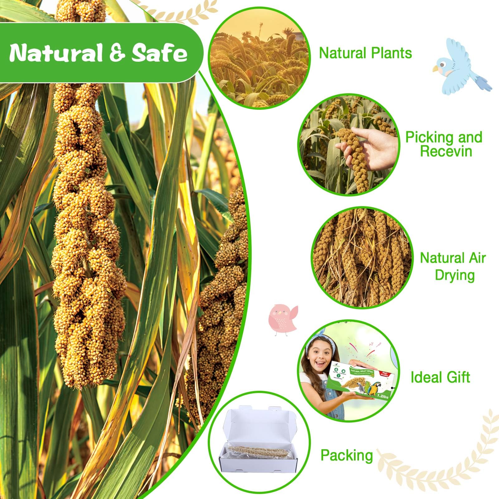 Millet for Birds 1.2LB, Natural Sun-Dried Millet Spray for Birds Seed No Stems Only Edible Tops for Parakeet, Budgies, Finches,