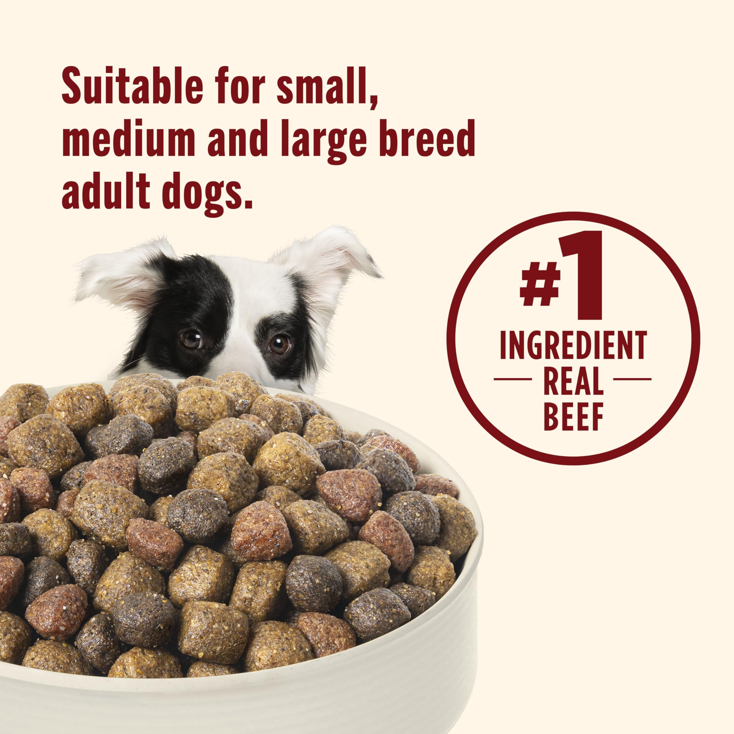 Nutrish Rachael Ray Premium Natural Dry Dog Food with Added Vitamins, Minerals & Taurine, Real Beef, Pea, & Brown Rice Recipe, 6