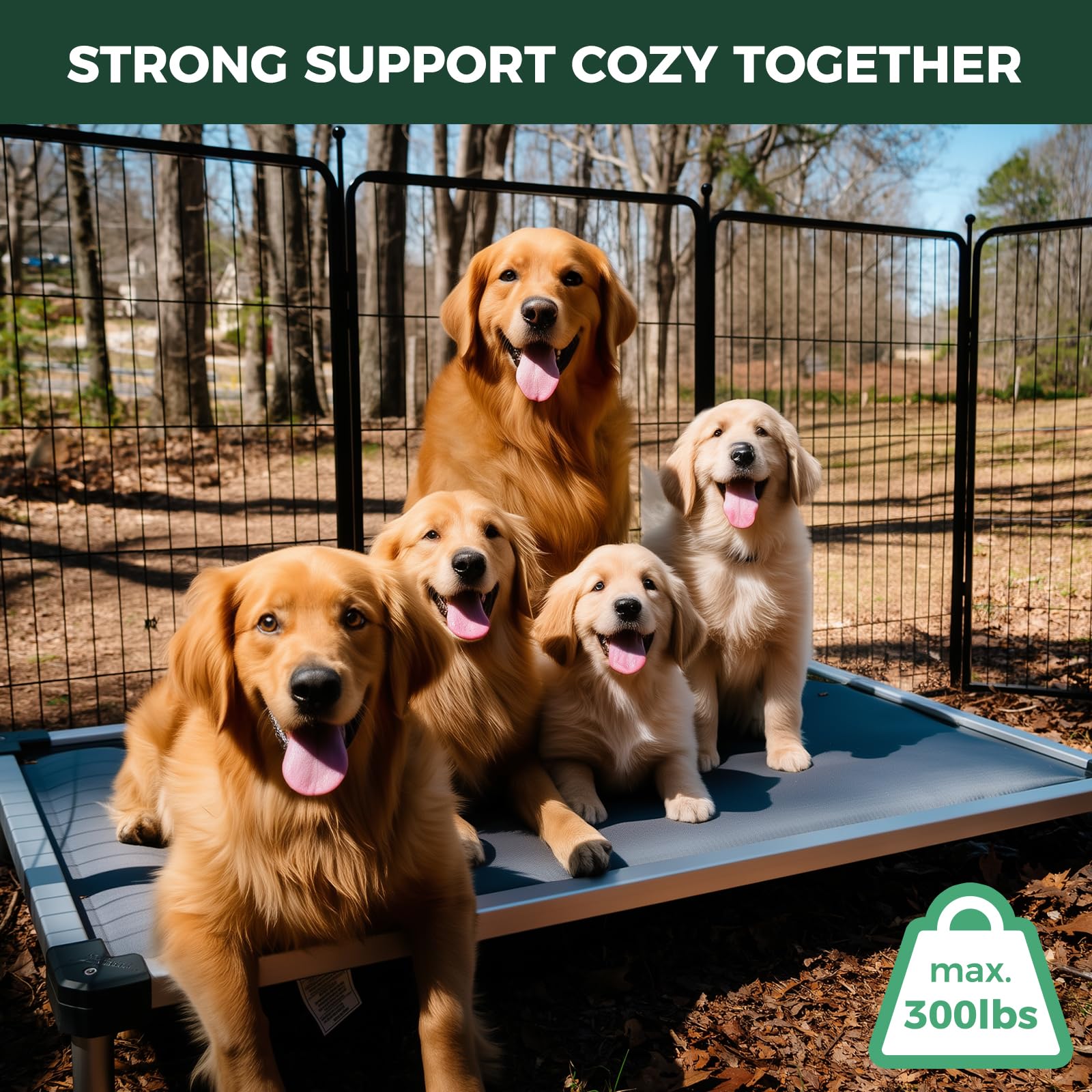 Fxw Titannest Chew-Proof Elevated Dog Bed, Padded Cot For Outdoor/Camping/Indoor Use, Durable & Washable Pet Bed For Extra Large