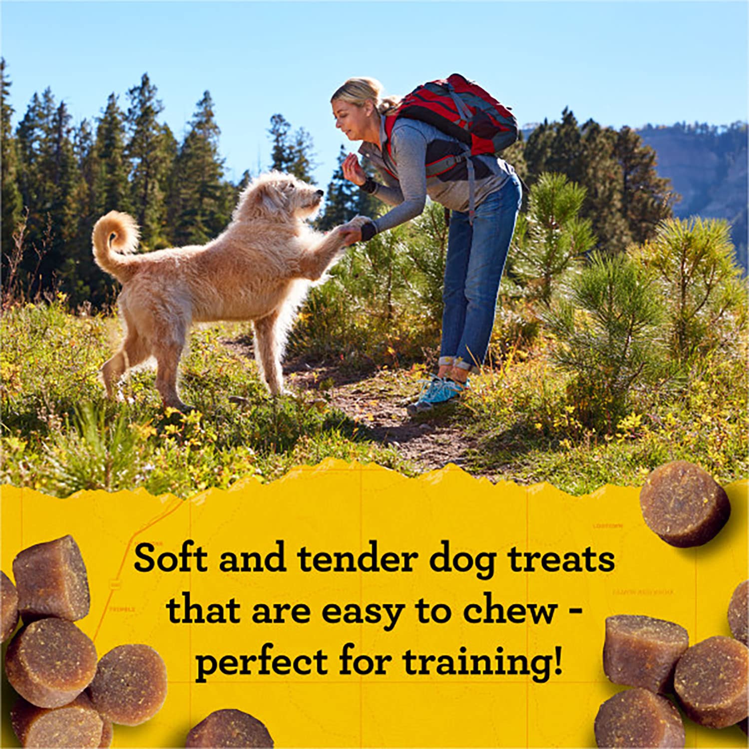 Zukes Mini Naturals Adult Dog Training Treats, Peanut Butter & Oats Recipe with Vitamins & Minerals, A+ Training Treats for Adu
