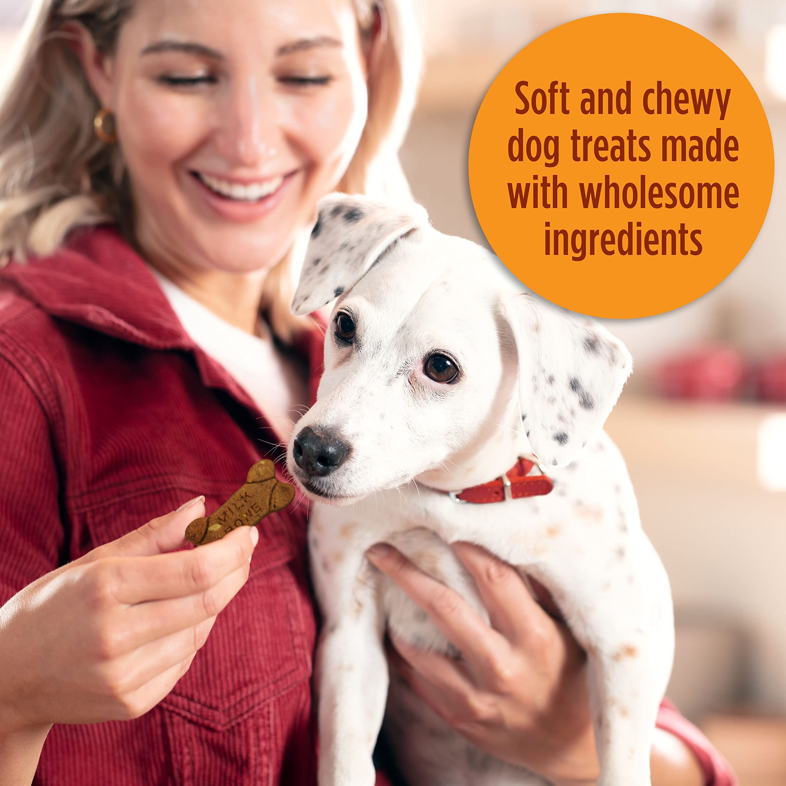 Milk-Bone Simply Soft & Chewy Dog Treats, Wholesome Chicken Recipe, 25 Ounce Made with Real Chicken, Rolled Oats, Sweet Potato &