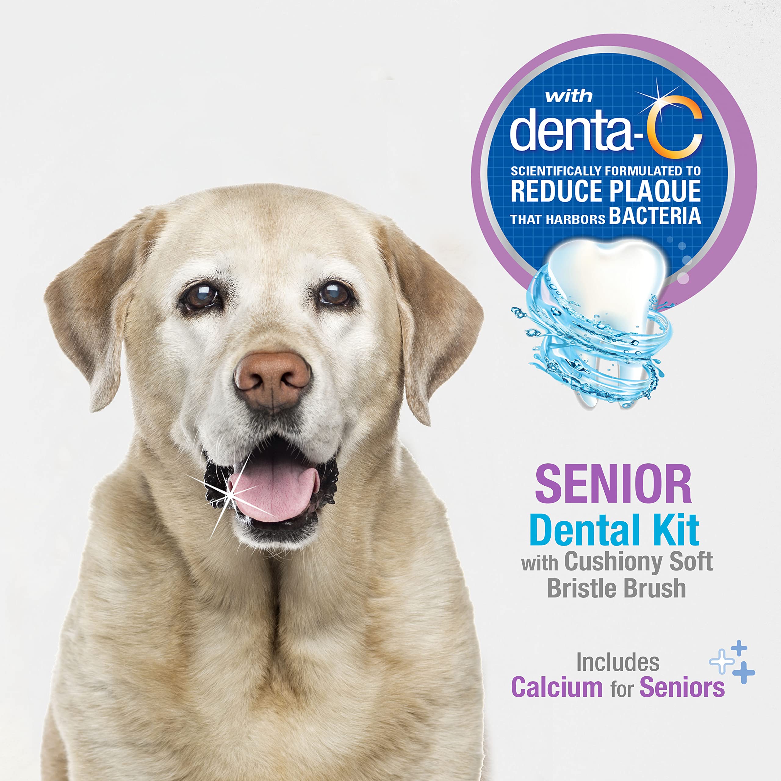 Nylabone Advanced Oral Care Senior Dog Dental Kit with Cushiony Soft-Bristle Toothbrush Senior 3 Count