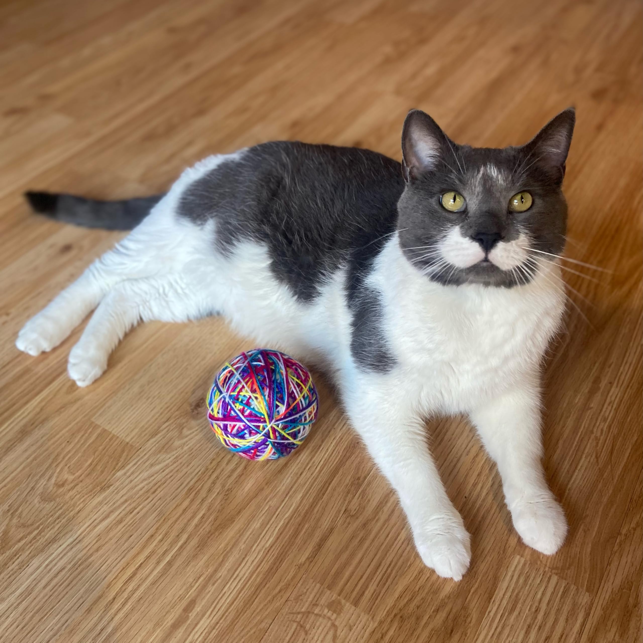 Spot Sew Much Fun- Cat Toy Yarn Ball, Foam Ball Wrapped In Colorful String, Won'T Unravel, Fun Toy For Cats And Kittens Of All Ages, Rattle Inside- 3.5In Yarn Balls