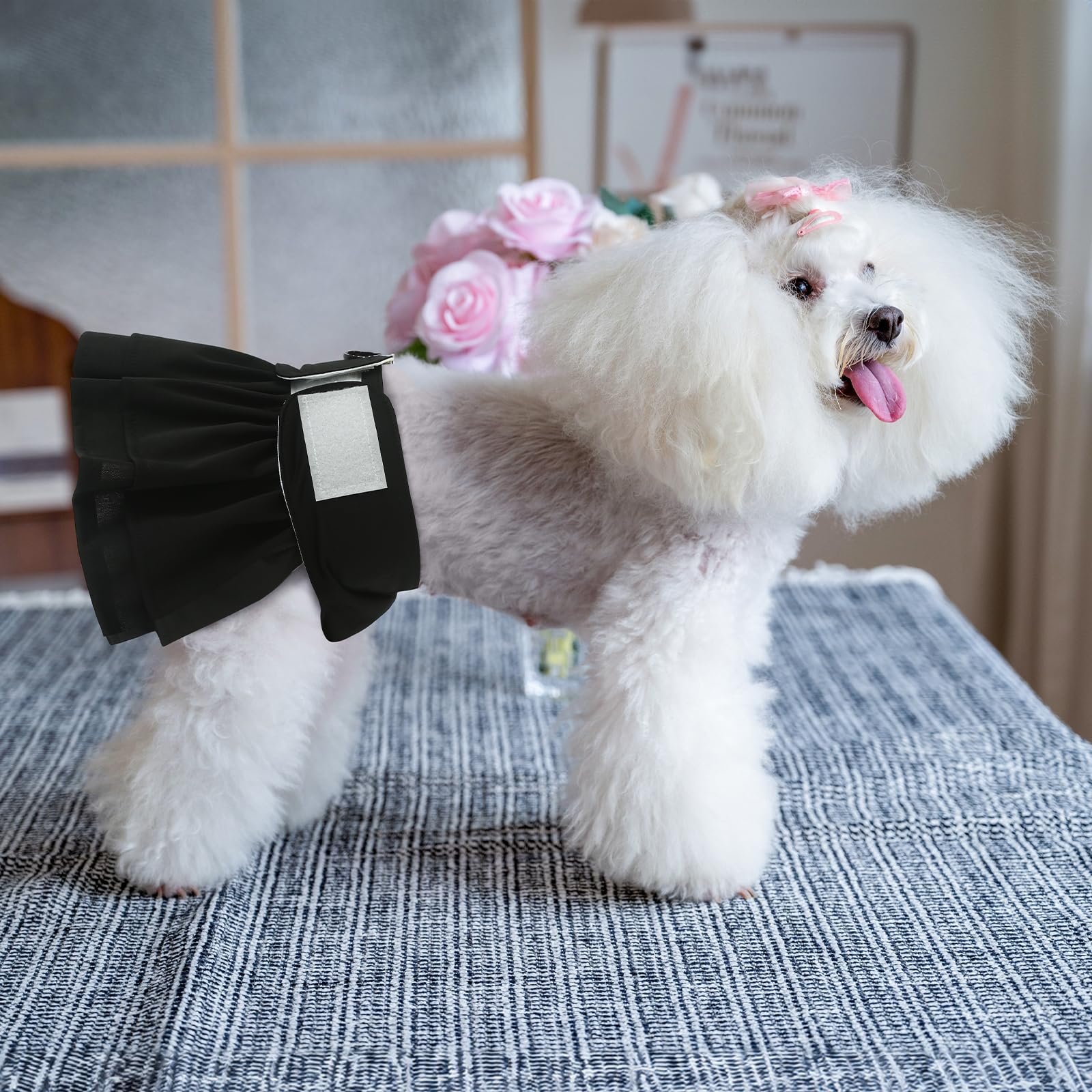 Cutebone Female Dog Diapers With Skirts 3 Pack Reusable Puppy Dresses Pants For Heat Cycle Period Qbd16Xl