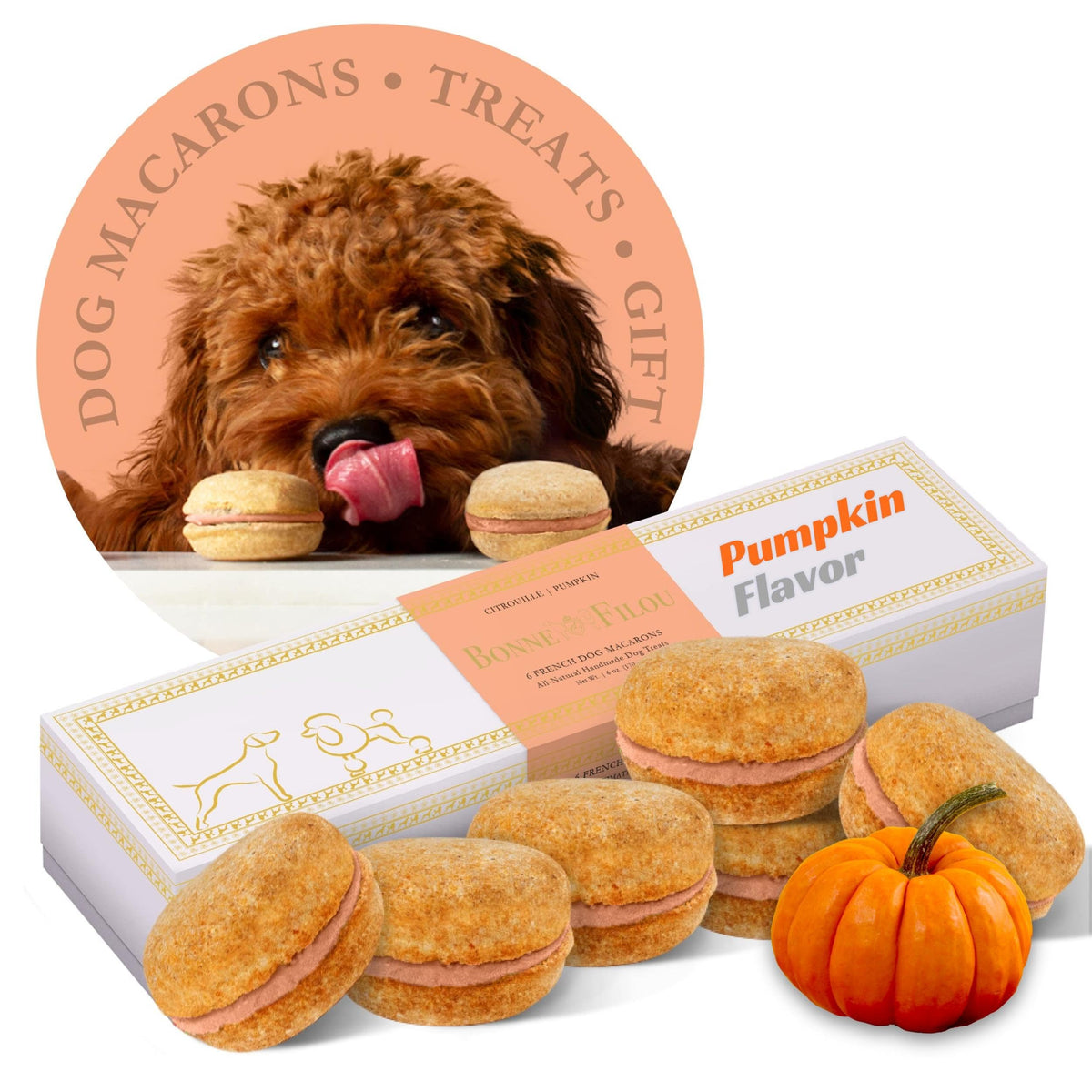 Bonne et Filou Human Grade Dog Treats Gift Box Dog Cake Macarons for Birthday Gourmet Dog Treats Healthy and Delicious Snacks for Small to Large Dogs All Natural Macaron Dog Cakes Pumpkin 6 Count