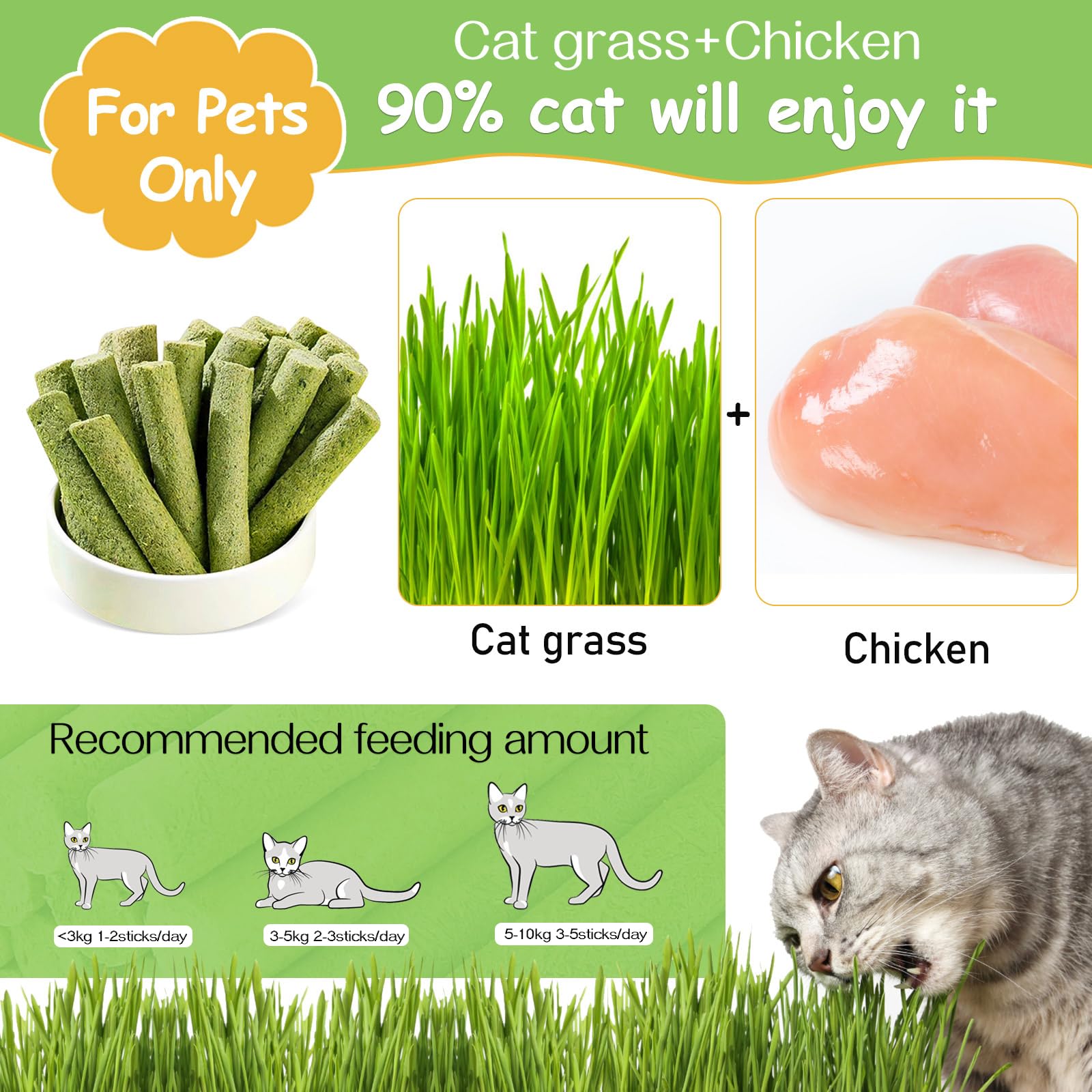 HavenJanny 50g Cat Grass Teething Stick, Freezed Drying Cat Grass Sticks Snacks for Cats, Edible Cat Treats for Teeth Cleaning a