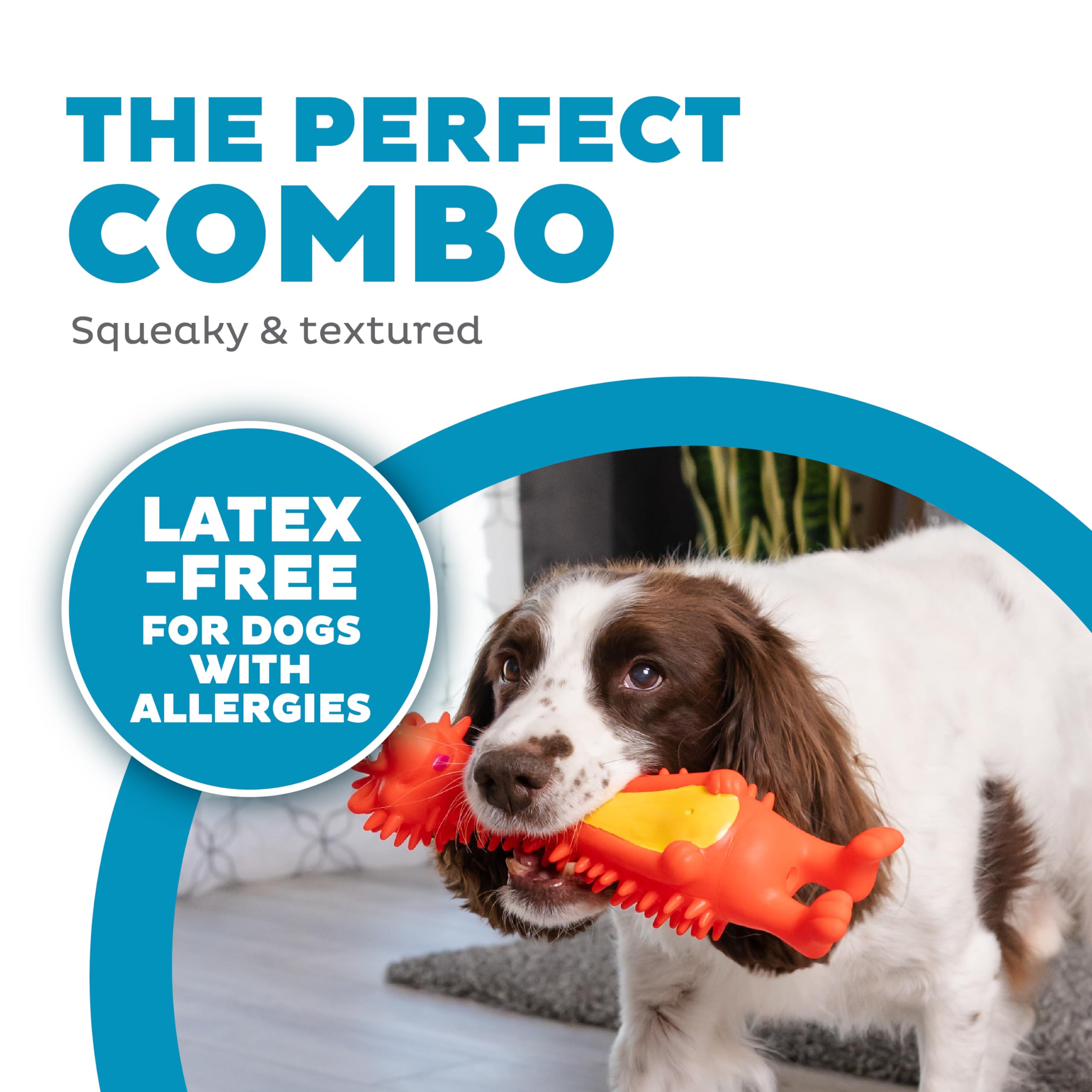 Outward Hound Latex-Free Big Squeak Hedgehog Dog Toy