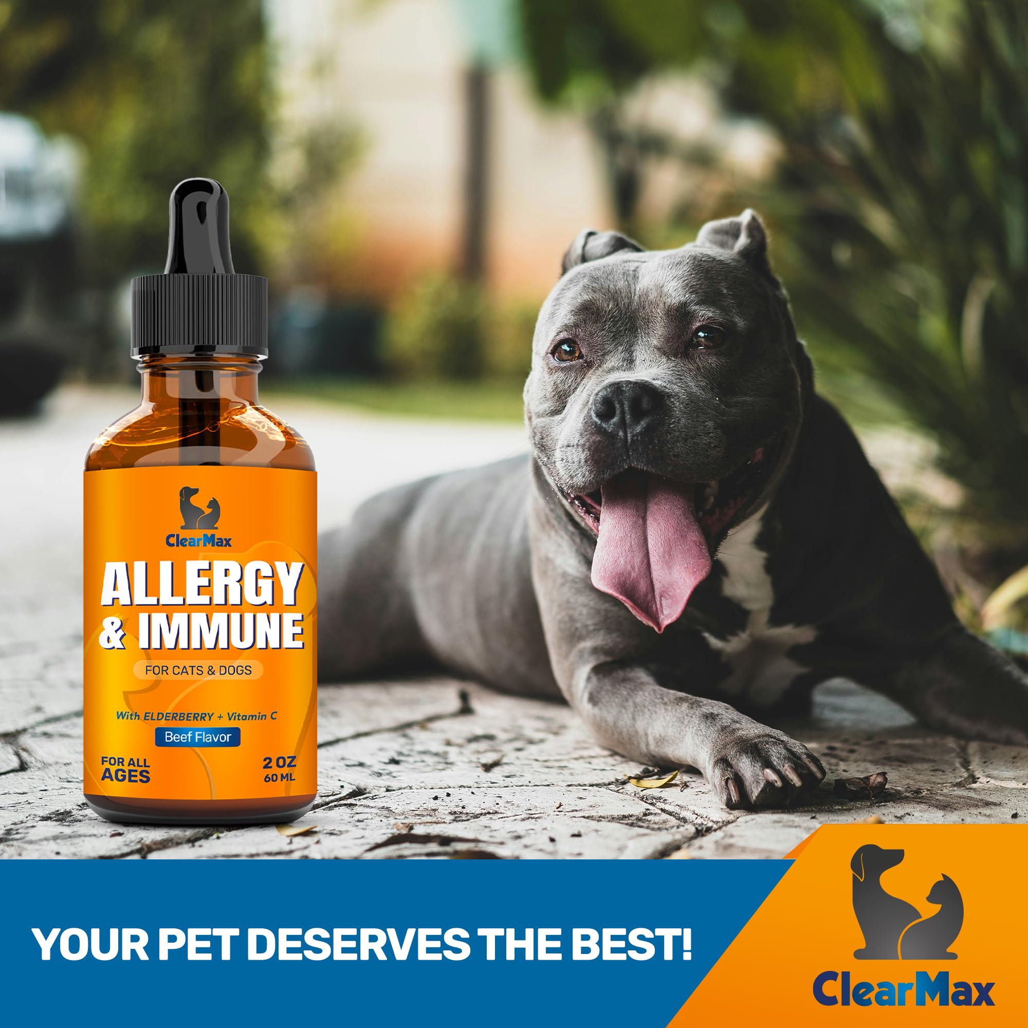 Cat Allergy - Dog Allergy - Cat And Dog Allergy Support - Cat Itching - Dog Itching Skin - Natural Ingredients - 2 Oz