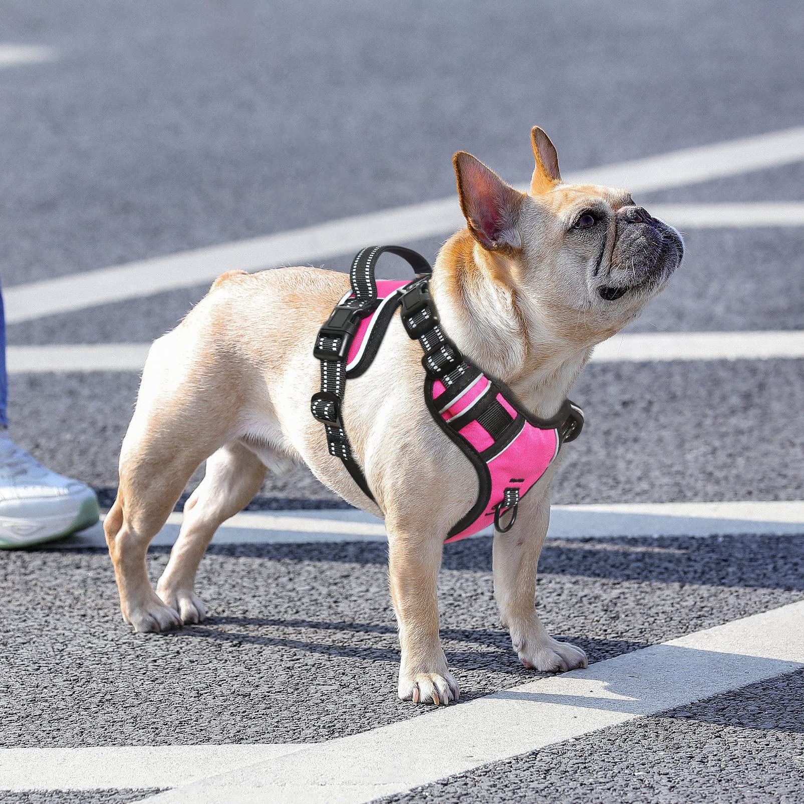 No Pull Dog Harness, No Choke Front Lead Dog Reflective Harness, Adjustable Soft Padded Pet Vest With Easy Control Handle For Small Medium Large Dogs