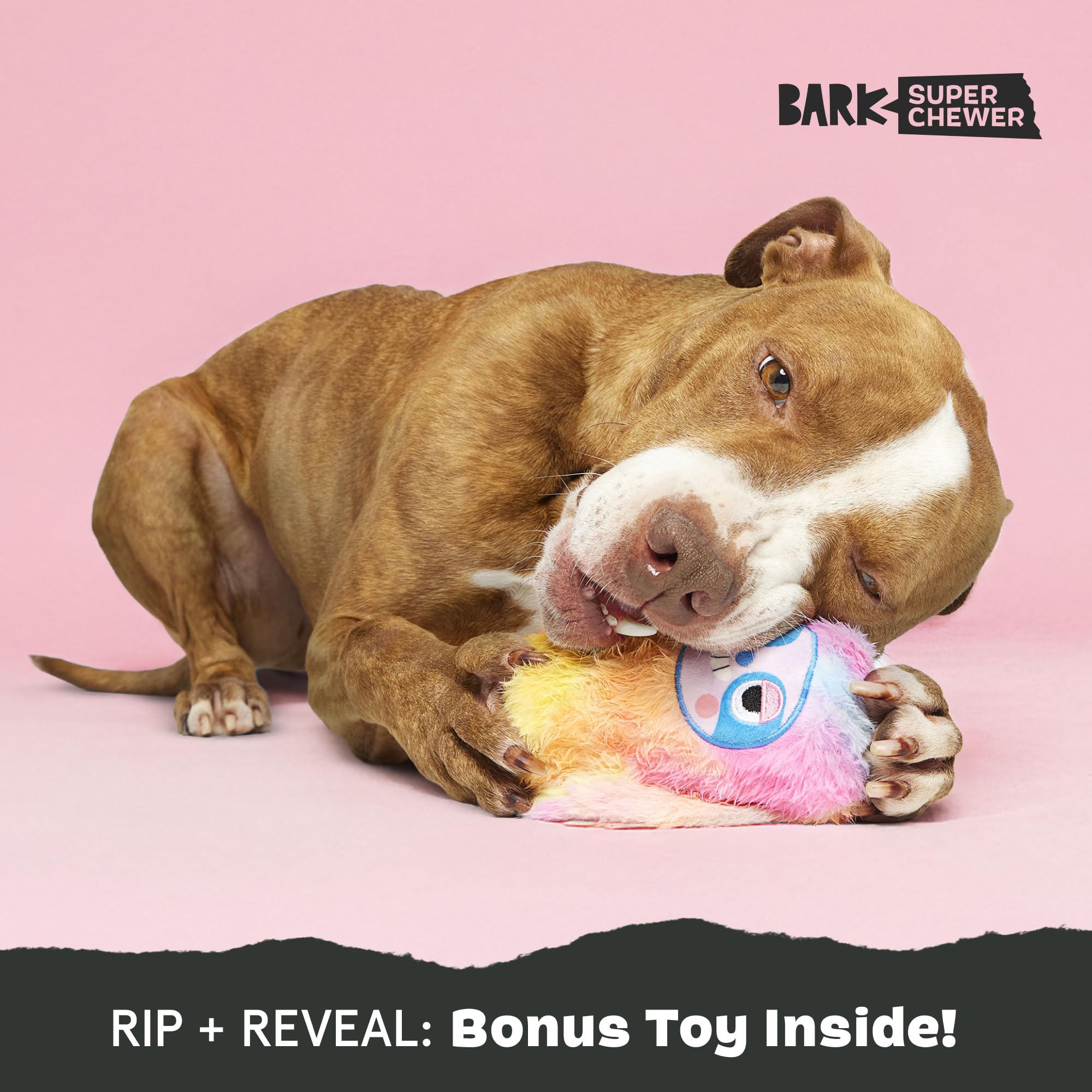 Barkbox Grateful Ted Dog Toy For Medium Dogs - Strawberry-Scented Rip & Reveal Toy For Determined Chewers And Interactive Playti