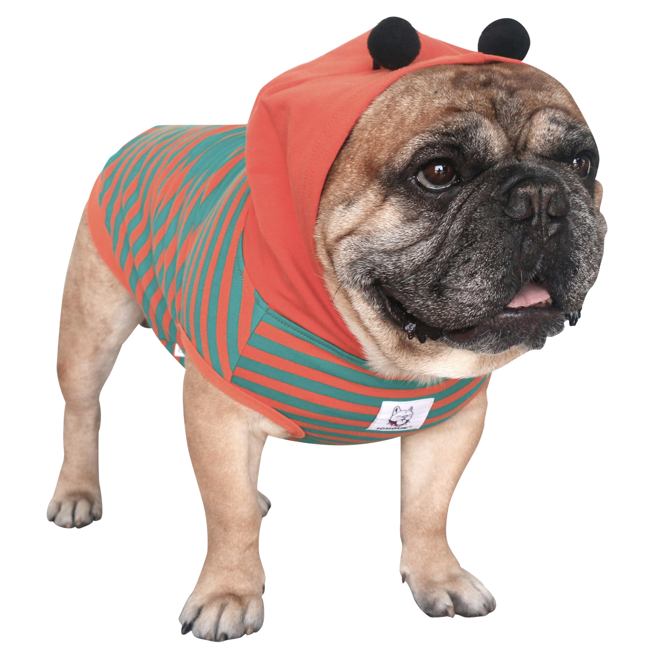 Ichoue I Am A French Bulldog Bumble Bee Halloween Costumes Clothes Hoodies Shirts Vest For Medium Dogs Cold Weather Winter Coats Frenchie English Pug Pitbull Boston Terrier - Orange Green, Large