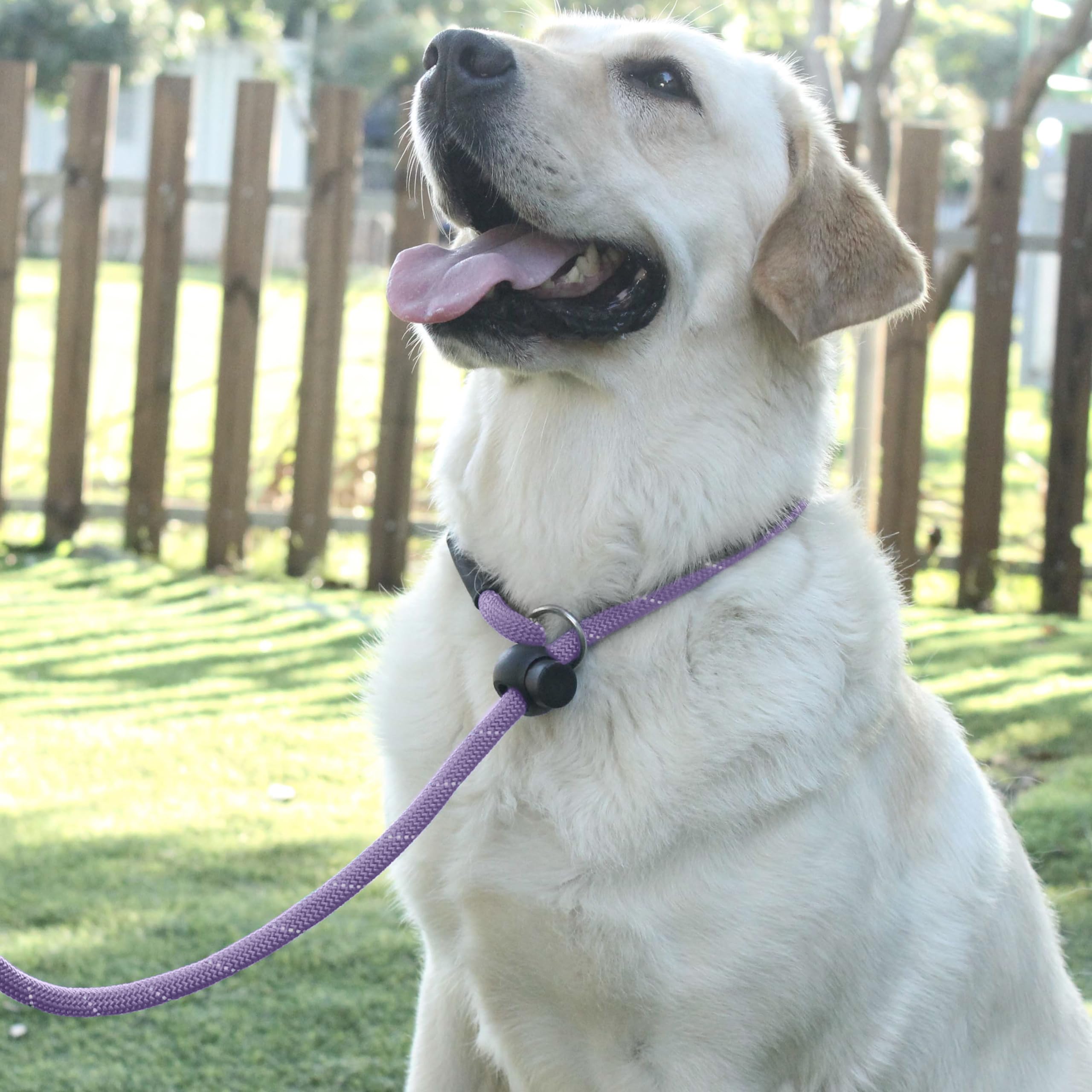 Hiado Slip Lead Dog Leash - Reflective, No Pull, 6ft, Lavender, Polyester, Model GSZ-P-Violescent-6 for Small to Large Dogs