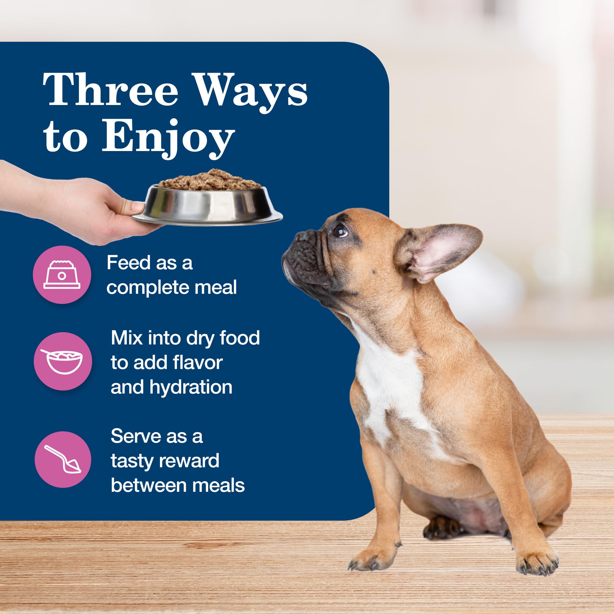 Blue Buffalo Homestyle Recipe Adult Small Breed Wet Dog Food, Made with Natural Ingredients, Chicken Recipe, 5.5-oz. Cans (24 Co