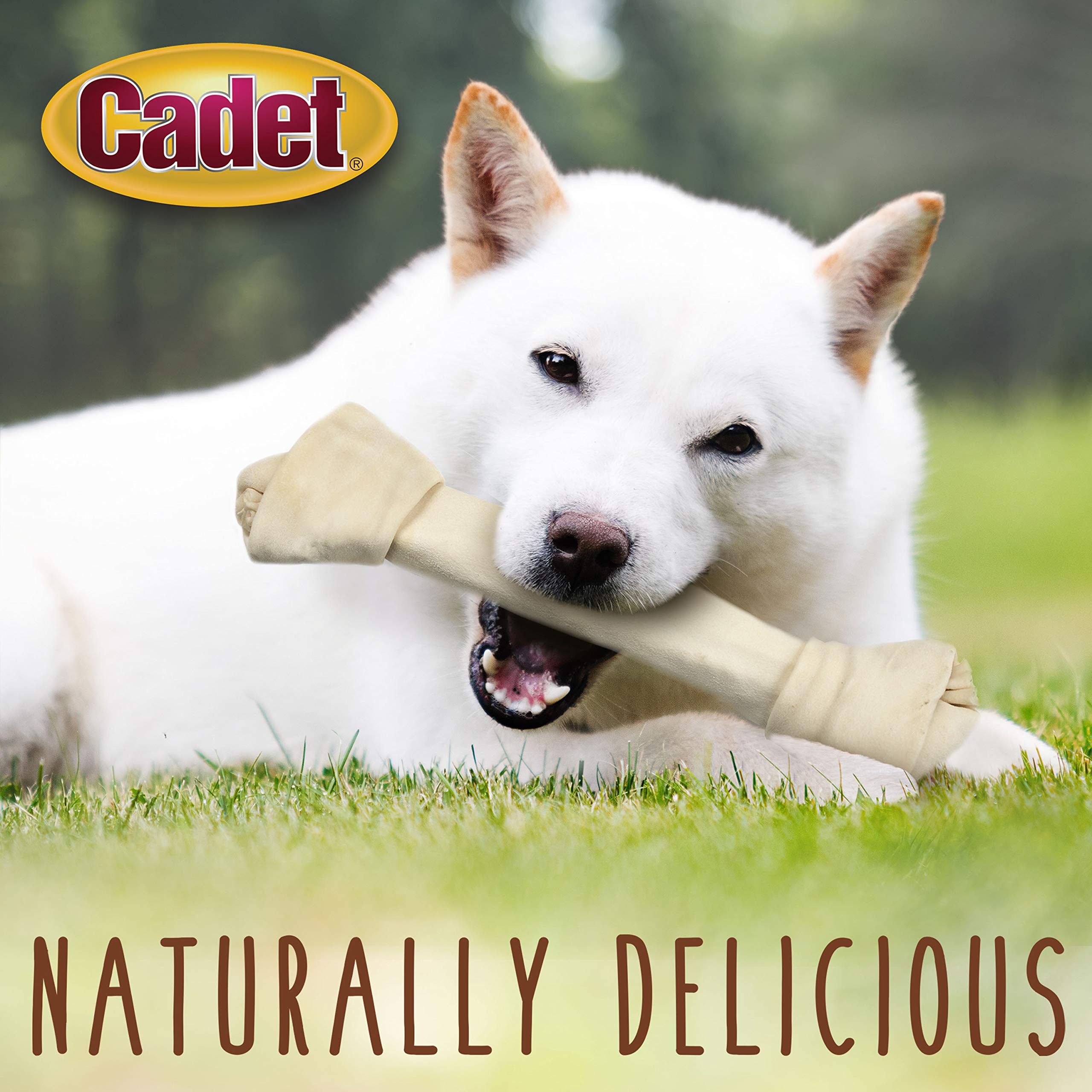Cadet Premium Grade Beef Hide for Dogs, Long Lasting Rawhide Knotted Bones Single Ingredient Dog Chews, 13 Inch (1 Count)