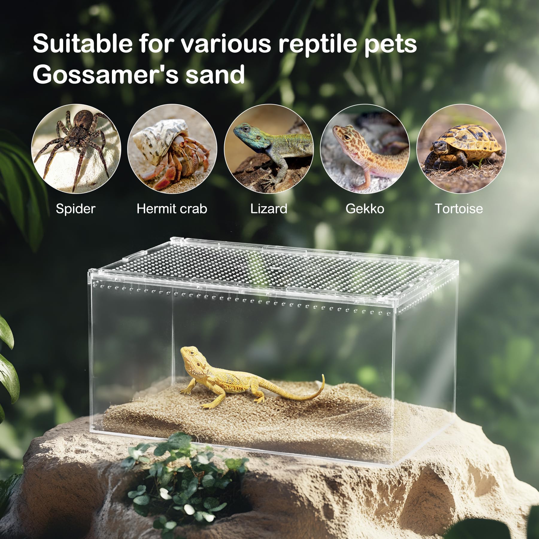 Reptile Pc Terrarium, Spider Tank Starter Kit, Leopard Gecko Container, Tarantula Cage, Hermit Crab Habitat, Lizard Enclosure, I