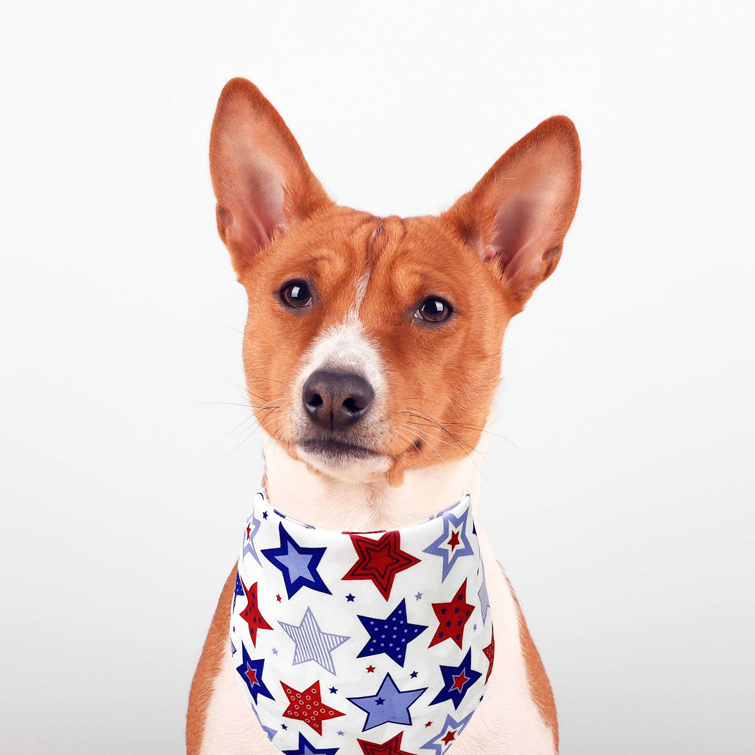 4Th Of July Dog Bandana, American Patriotic Cat Bandana For Large Medium Small Pets Puppies (Small)