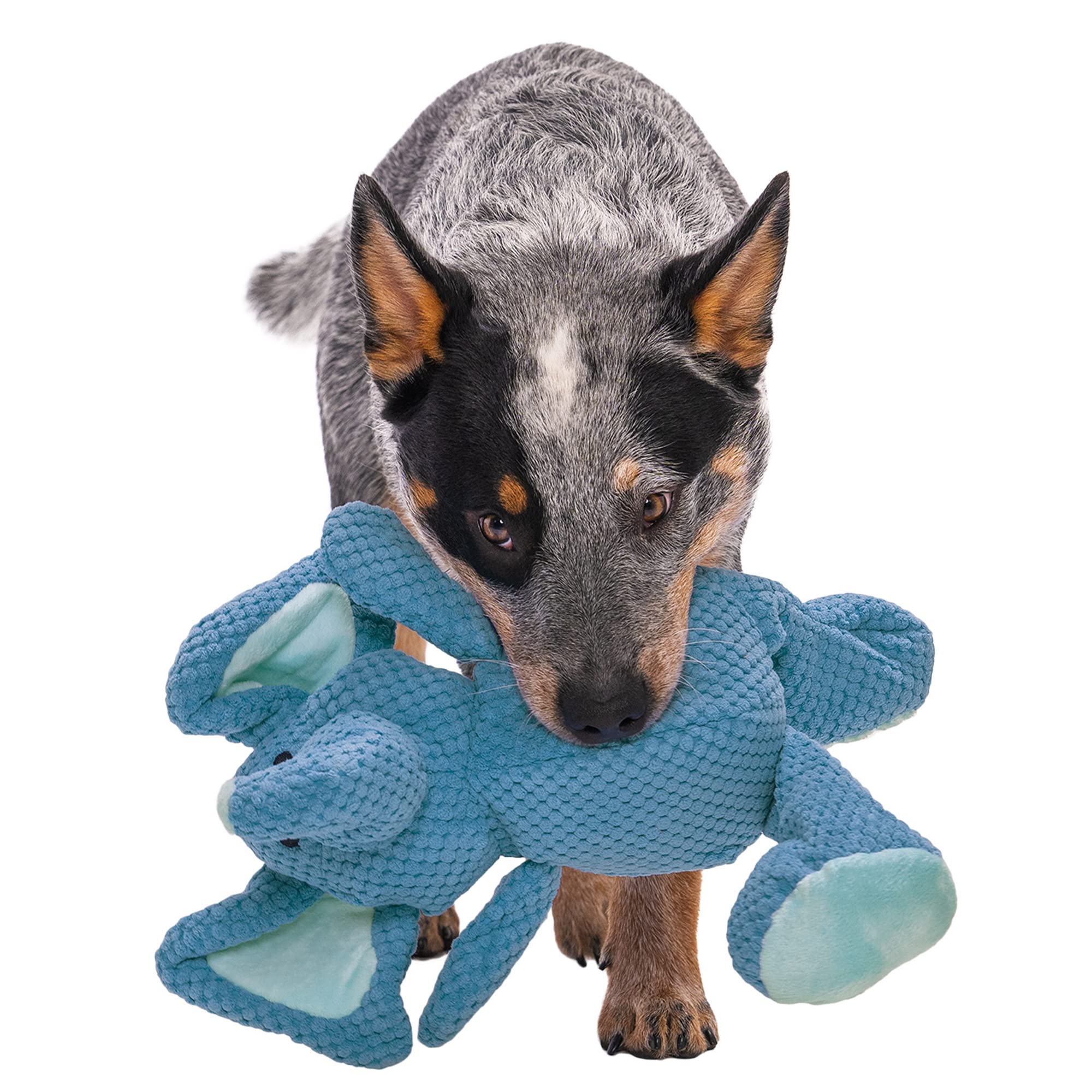 Godog Checkers Elephant Squeaky Plush Dog Toy, Chew Guard Technology - Blue, Large