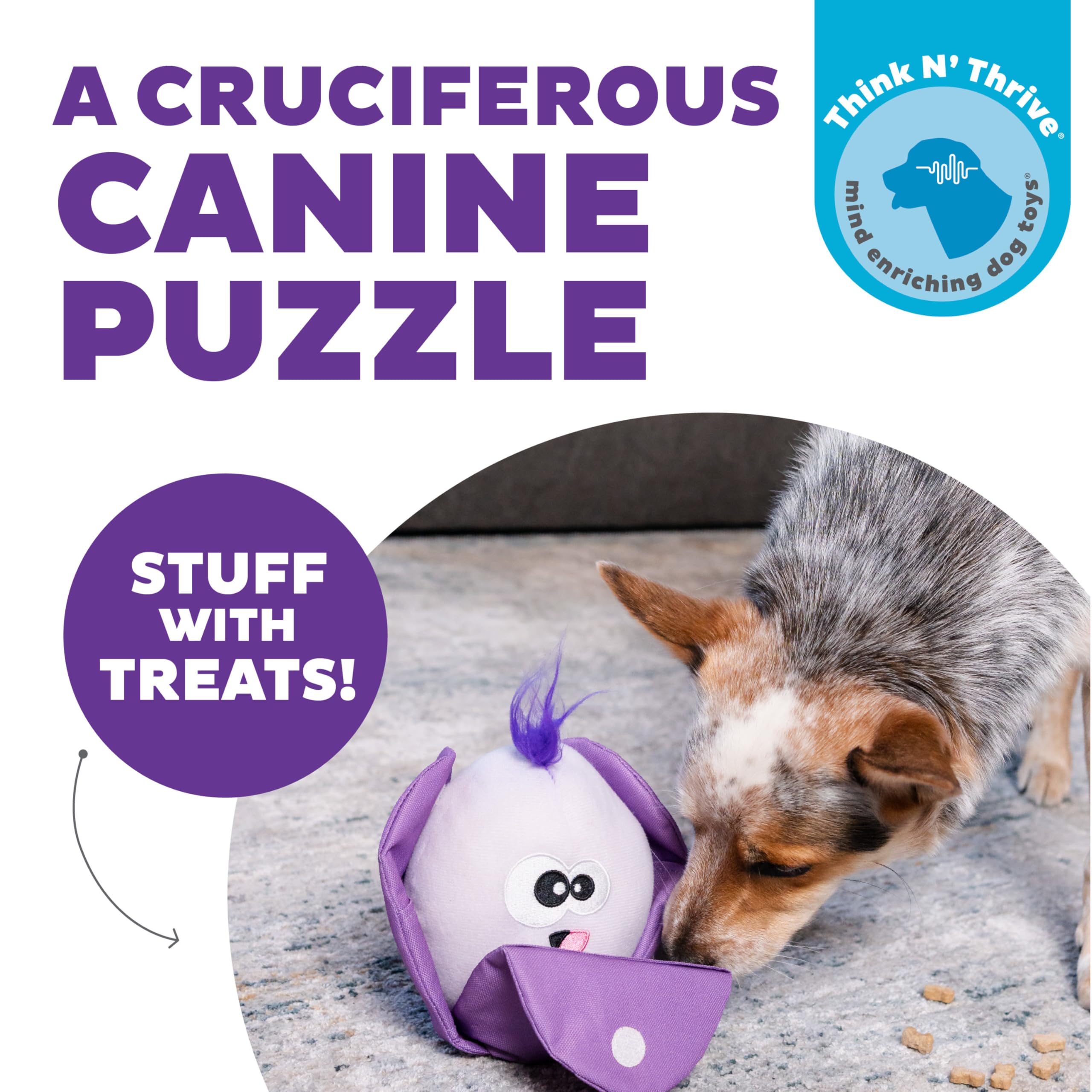 Outward Hound Hide N' Find Interactive Plush Dog Puzzle Toy, Durable, Cauliflower, Purple, Model 71613