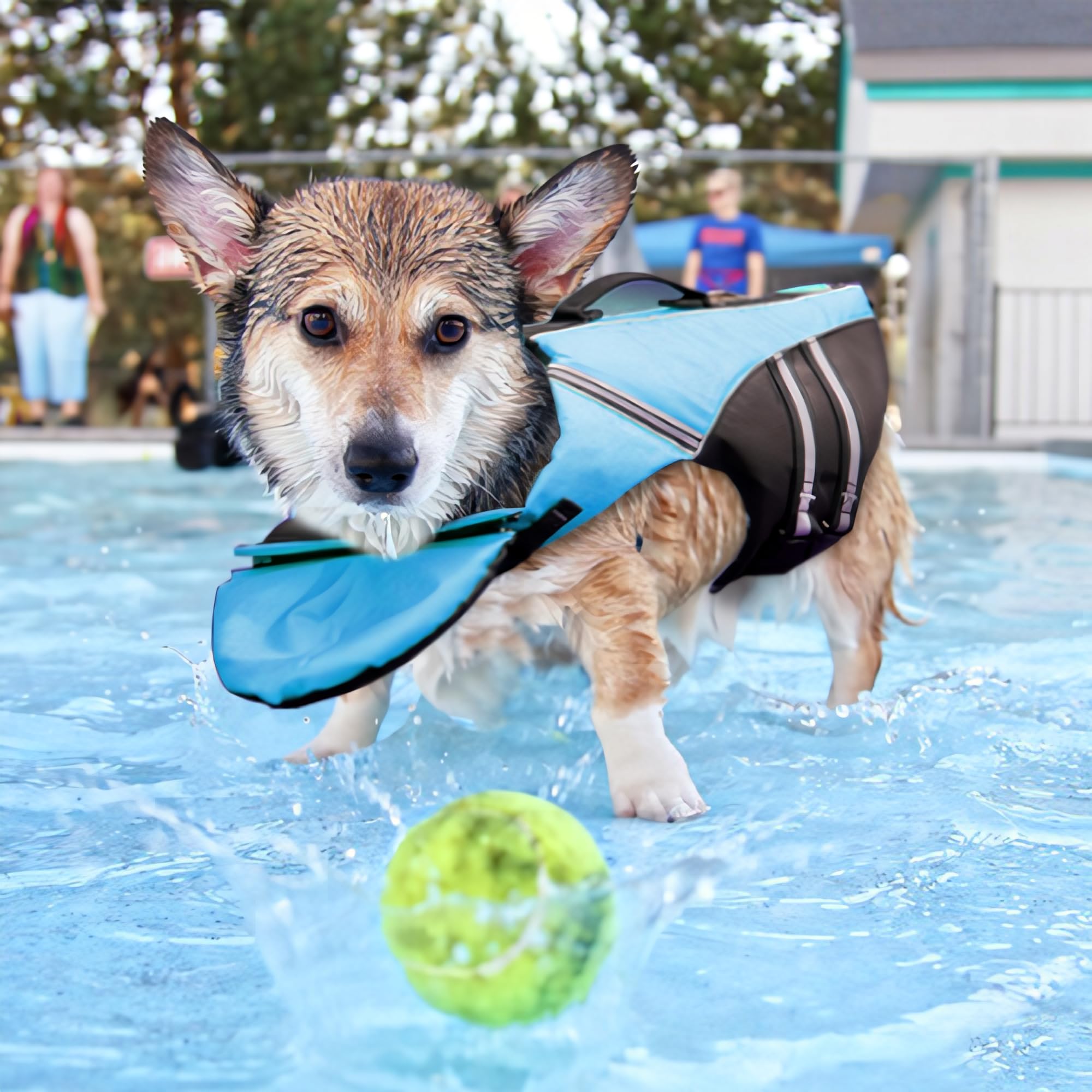 Mklhgty Dog Life Jacket, Reflective Dog Life Vest With Removable Neck Float High Buoyancy For Swimming And Boating, Ripstop Pet