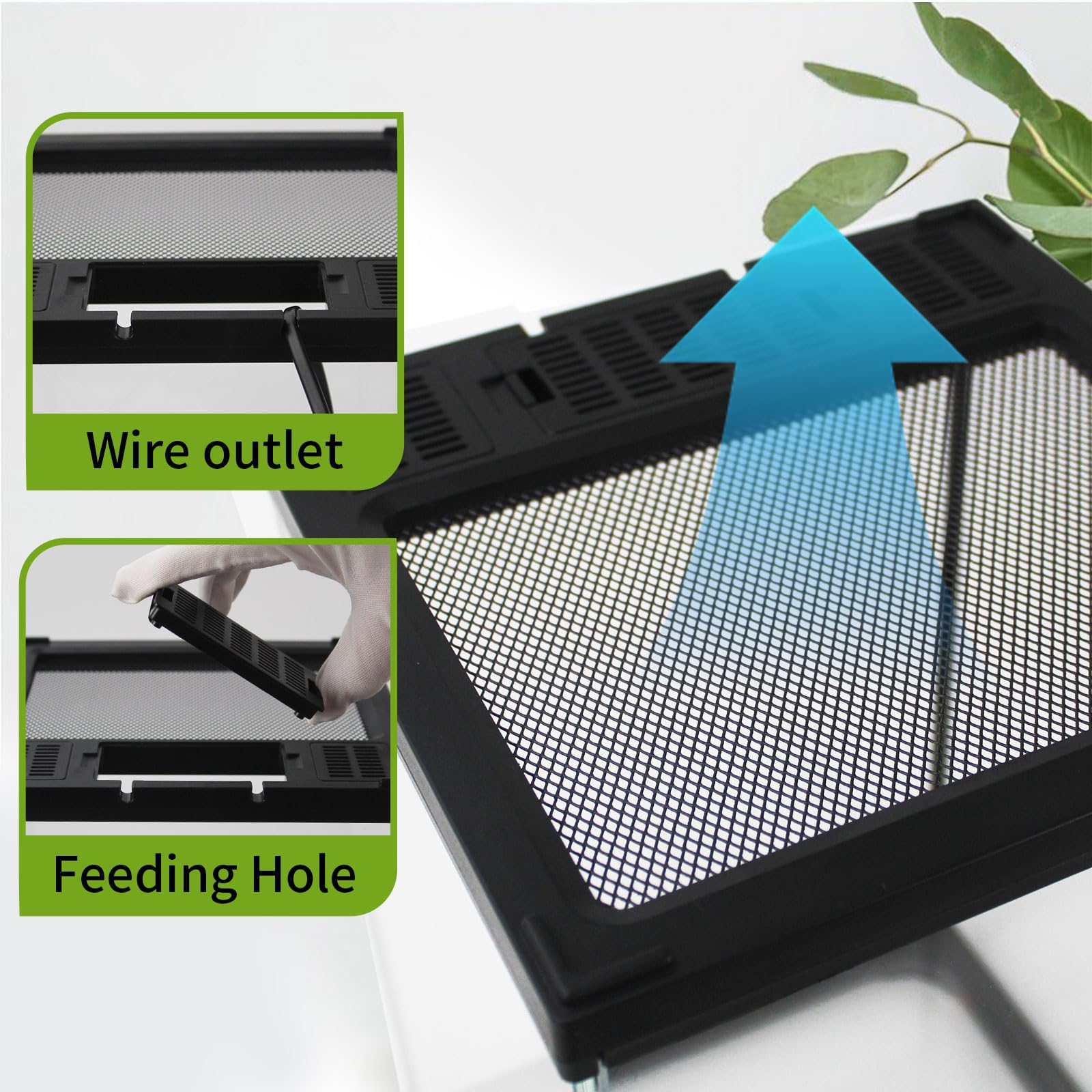 Waazoorep Mini Reptile Glass Terrarium Tank 8'*8'*10' Full View With Front Opening Door,Amphibians Enclosure Habitat Cage For