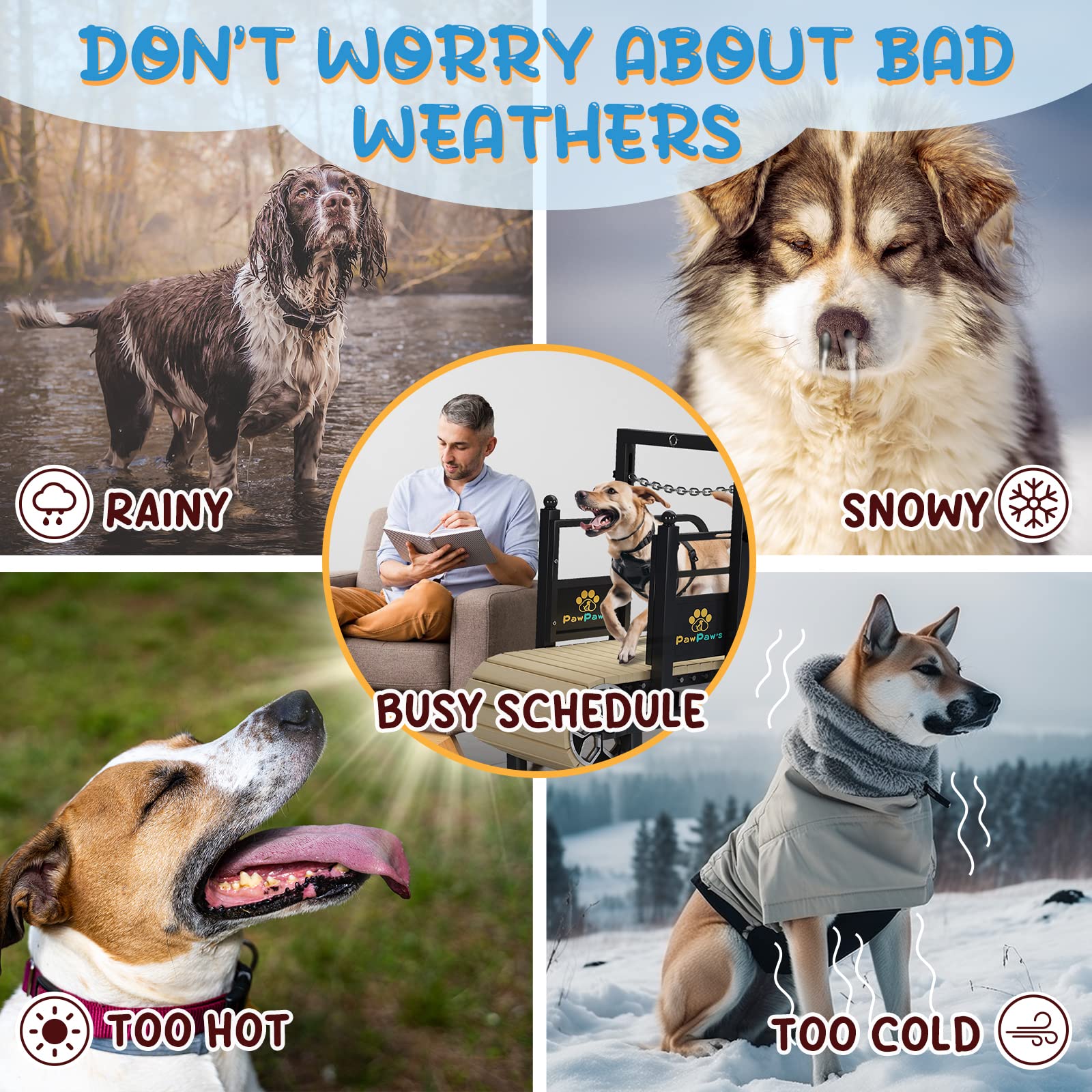 Pawpaw'S Dog Treadmill For Large Dogs, Medium Dogs. Dog Slatmill For Healthy & Fit Dog Life, Dog Treadmill For Indoor & Outdoor