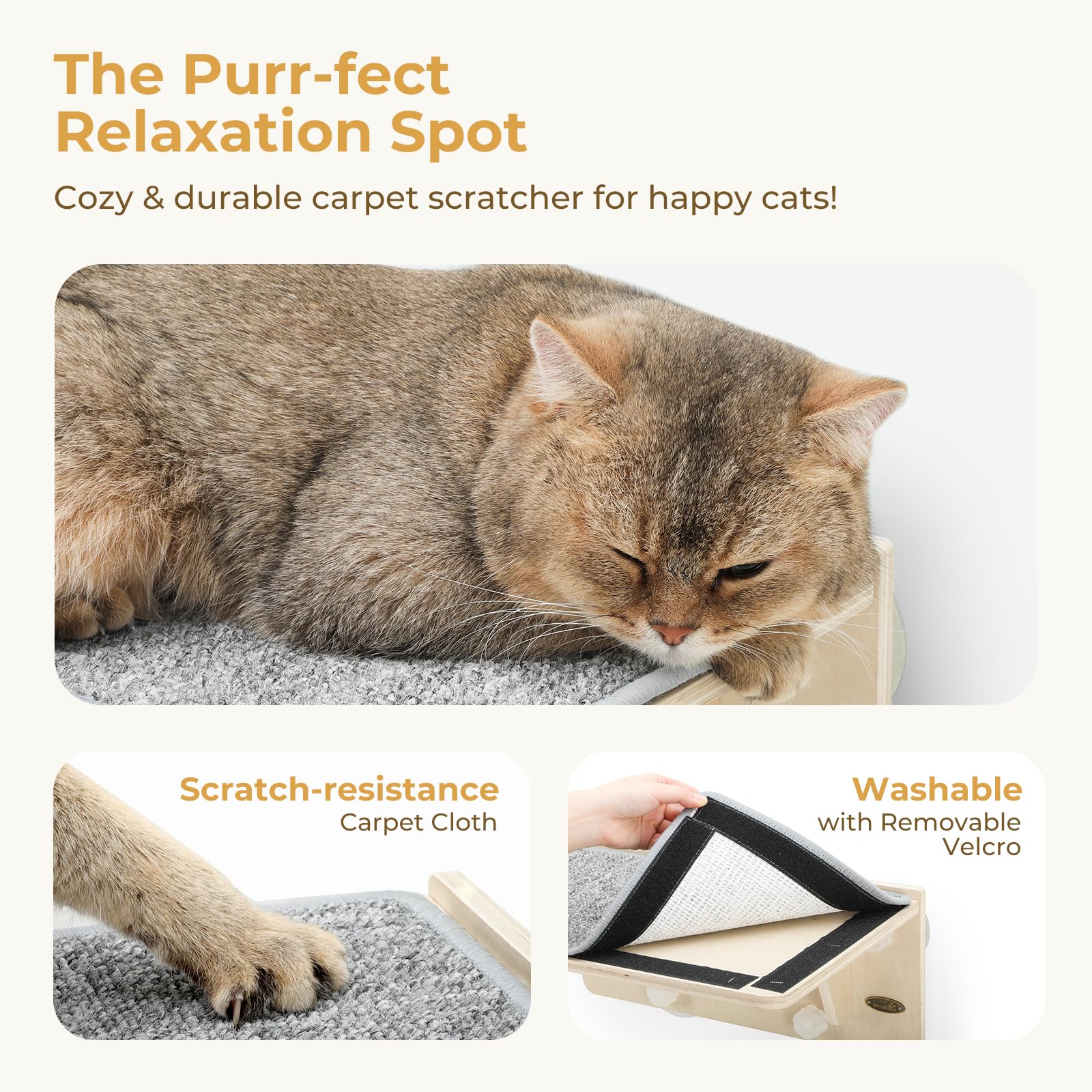 Pecute 2-in-1 Cat Window Perch & Wall Shelves - Sturdy Solid Wood Frame, 4 Large Rotating Suction Cups, Washable Carpet Cloth Co