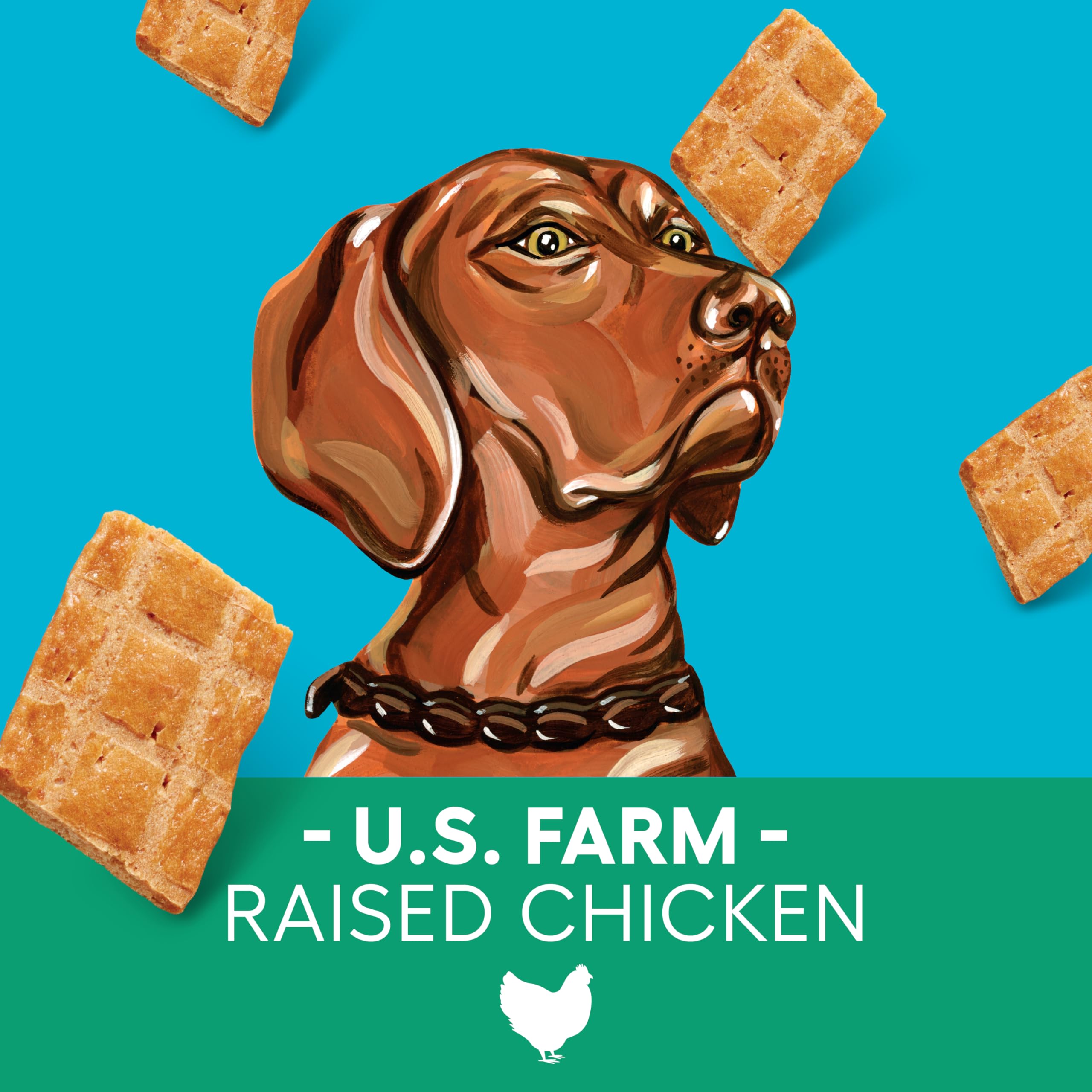 Newman s Own Jerky Treats for Dogs - Original Chicken Recipe | Made with US Farm-Raised Chicken | Grain Free | High in Protein