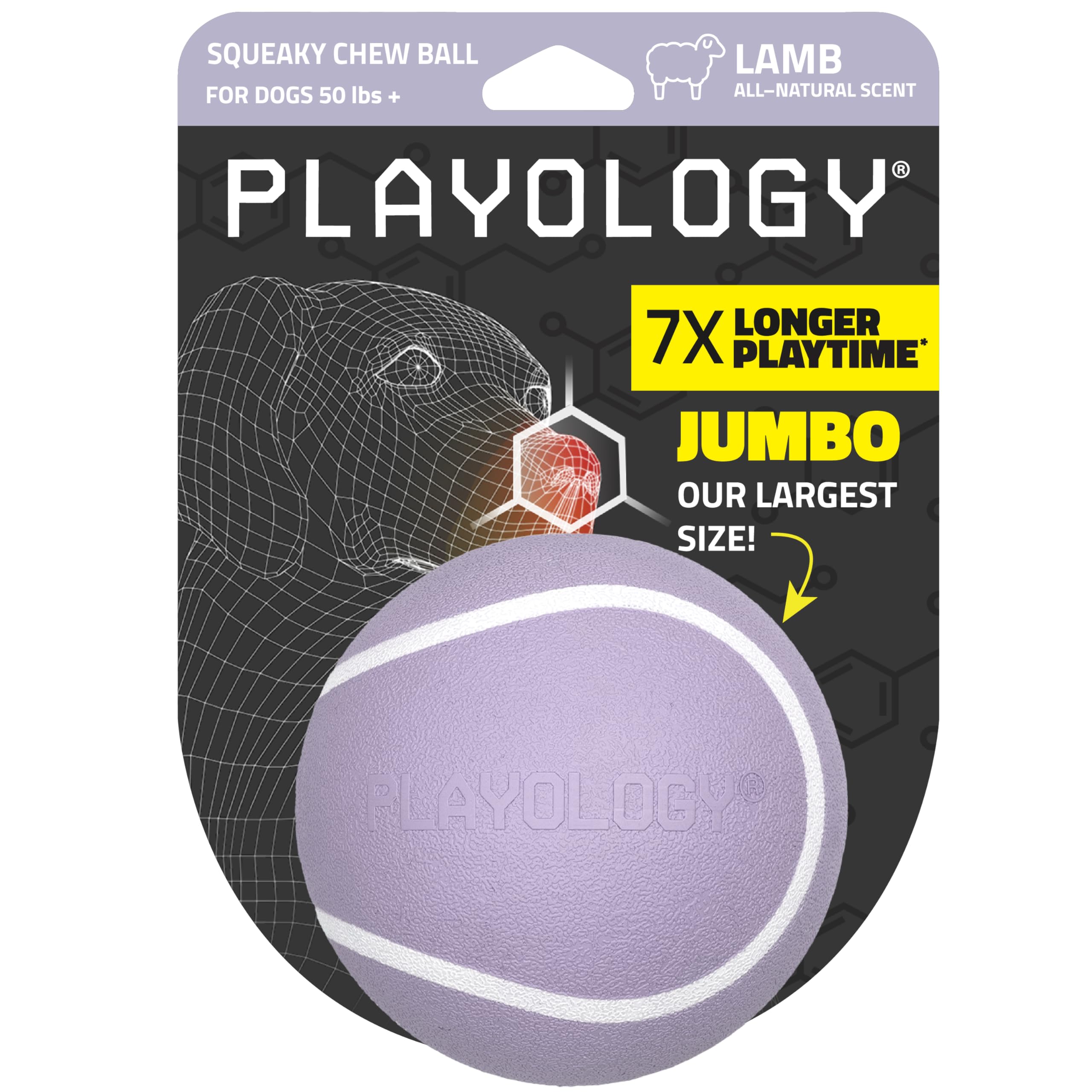 Playology Dog Toys | Squeaky Chew Ball - Bouncy Durable Floating Fetch Ball for Dogs | Jumbo Lamb Scented Toy - Easy to Clean an