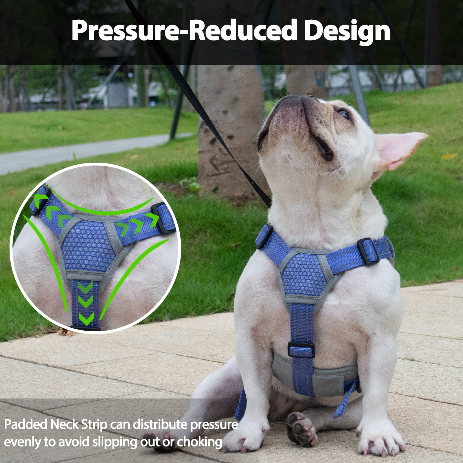 Escape Free Dog Harness, No Slip Harness With Lift Handle, Adjustable No Pull Vest With Soft Breathable Padded And Leash Clip For Medium And Large Dogs Walking Hiking Training (Technicolor Blue,Xl)