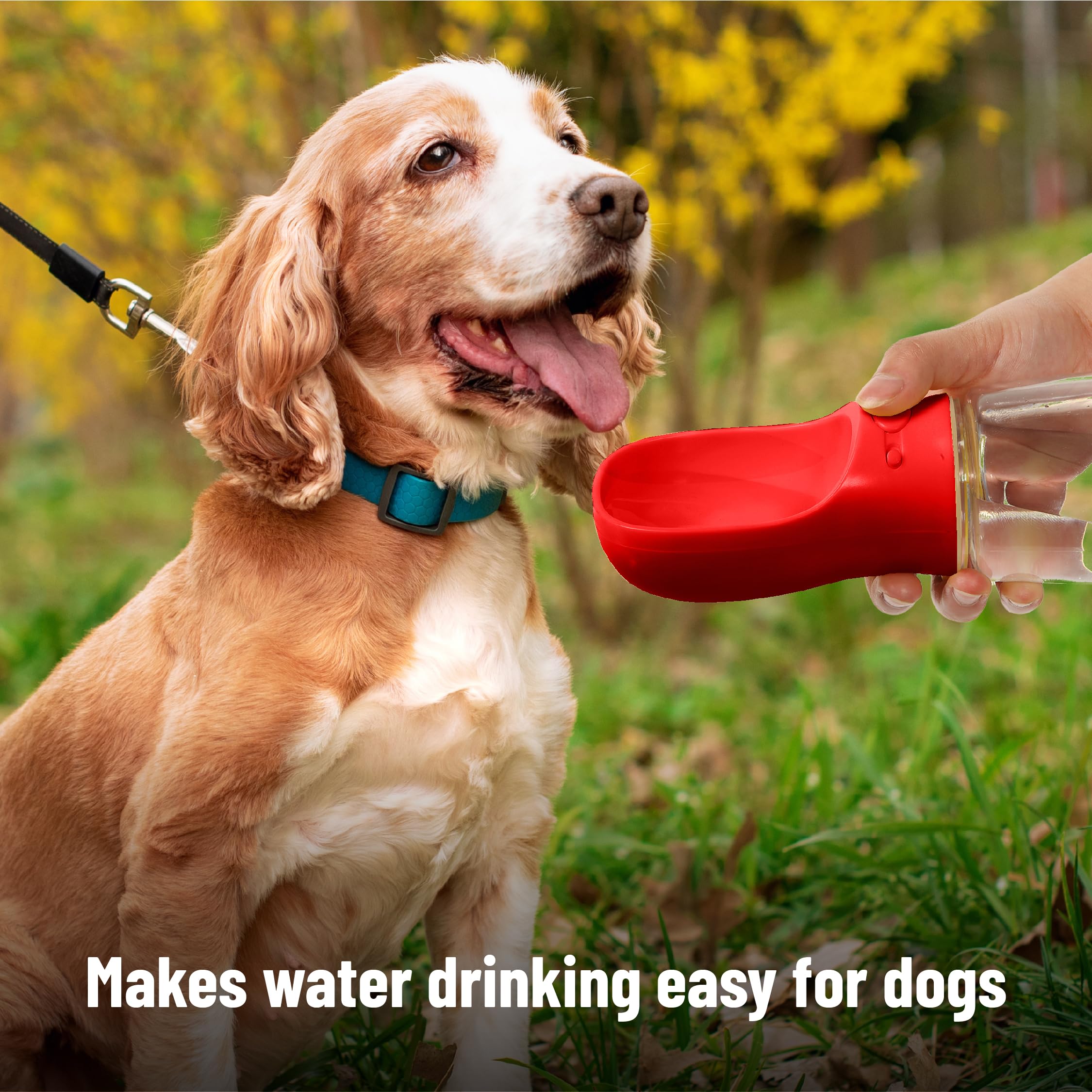 Mr. Pen- Dog Water Bottle, 19 oz, Large, Red, Portable Dog Water Bottle Dispenser, Dog Travel Water Bottle, Travel Dog Water Bot