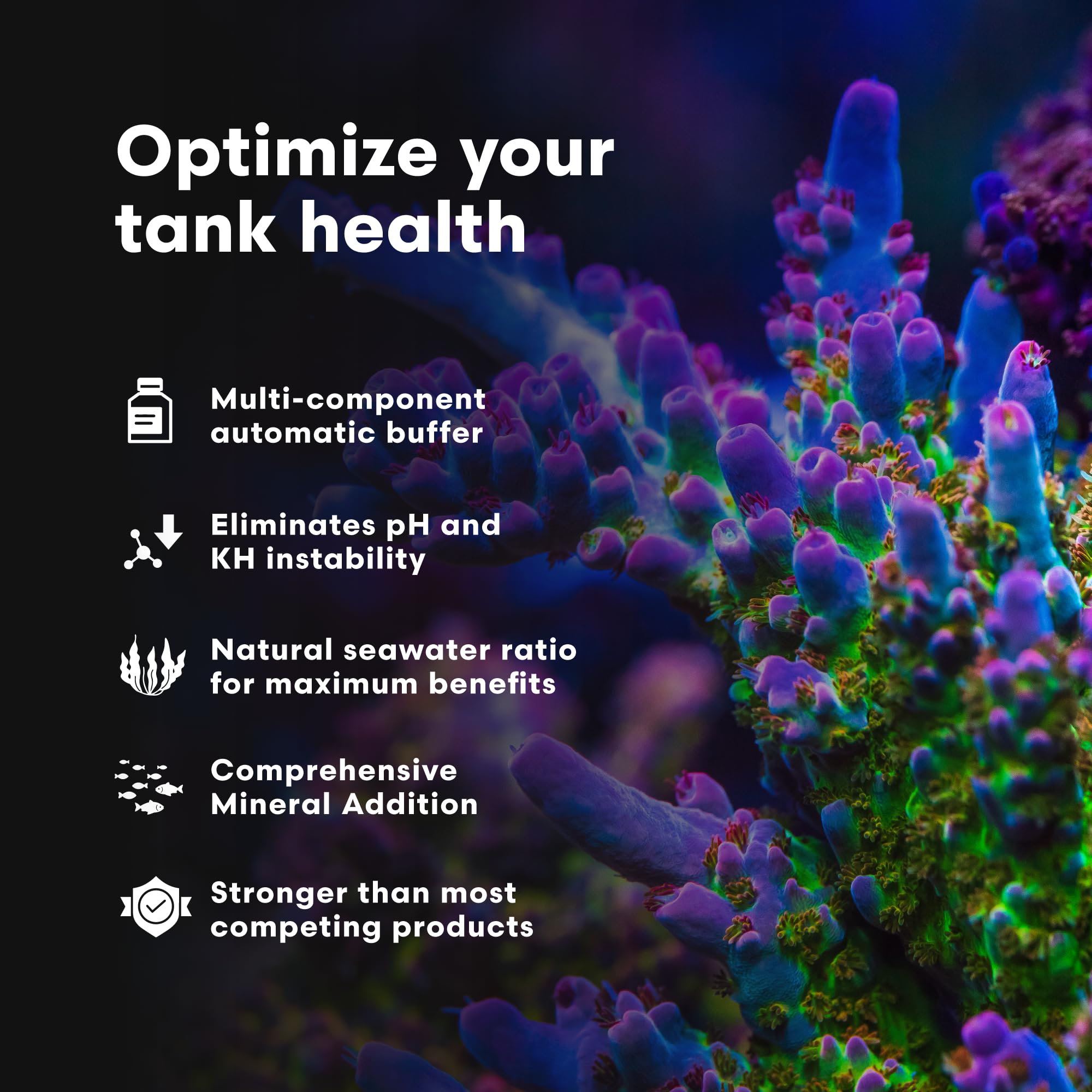 Brightwell Aquatics - Reef Code B - Balanced Calcium & Alkalinity System Water Conditioner - for All Saltwater Marine Fish & Ree