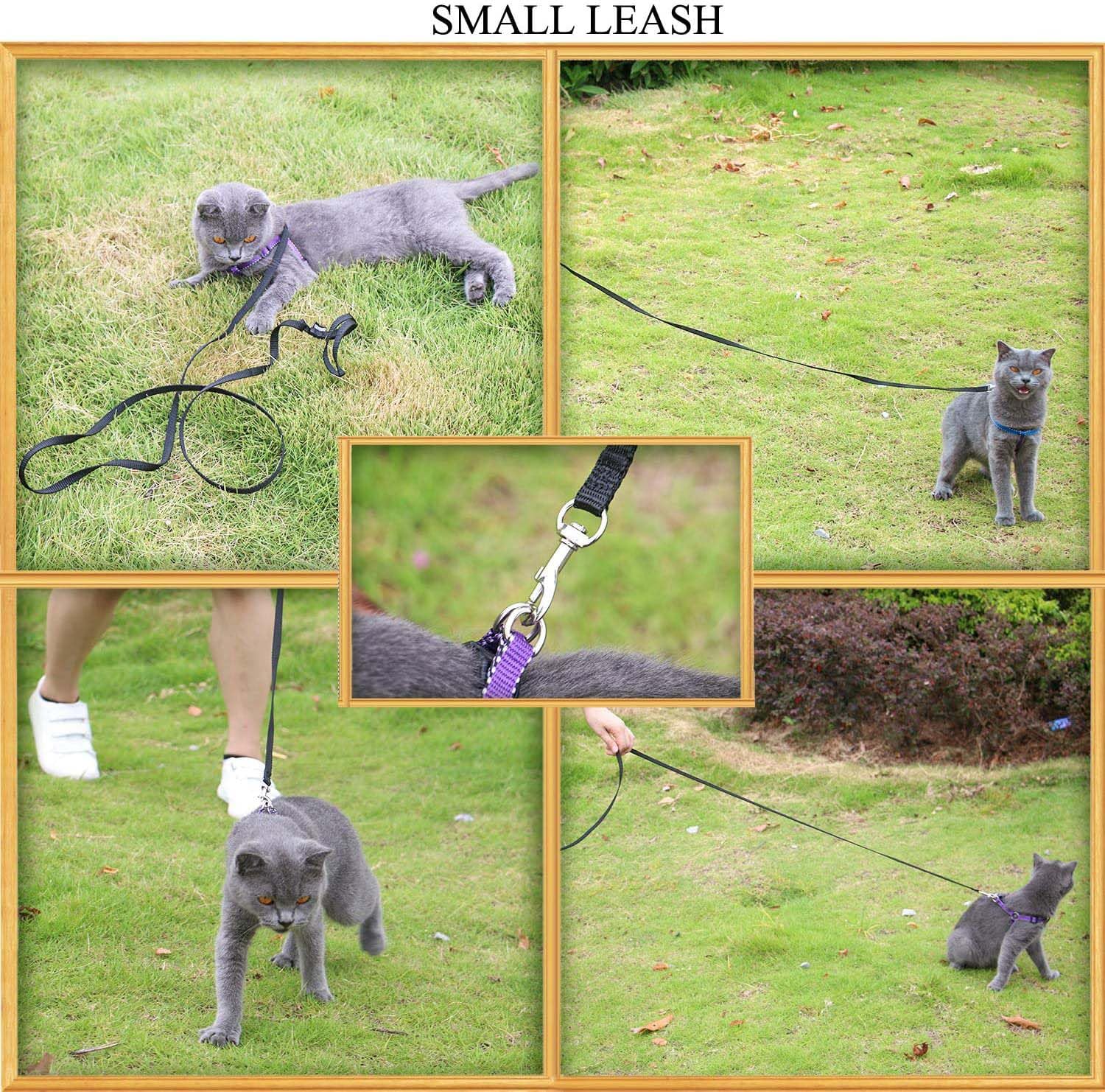 6 Ft Puppy/Dog Leash, Strong And Durable Traditional Style Leash With Easy To Use Collar Hook,Dog Lead Great For Small And Medium And Large Dog(Black,5/8' X 6 Feet) (Black)