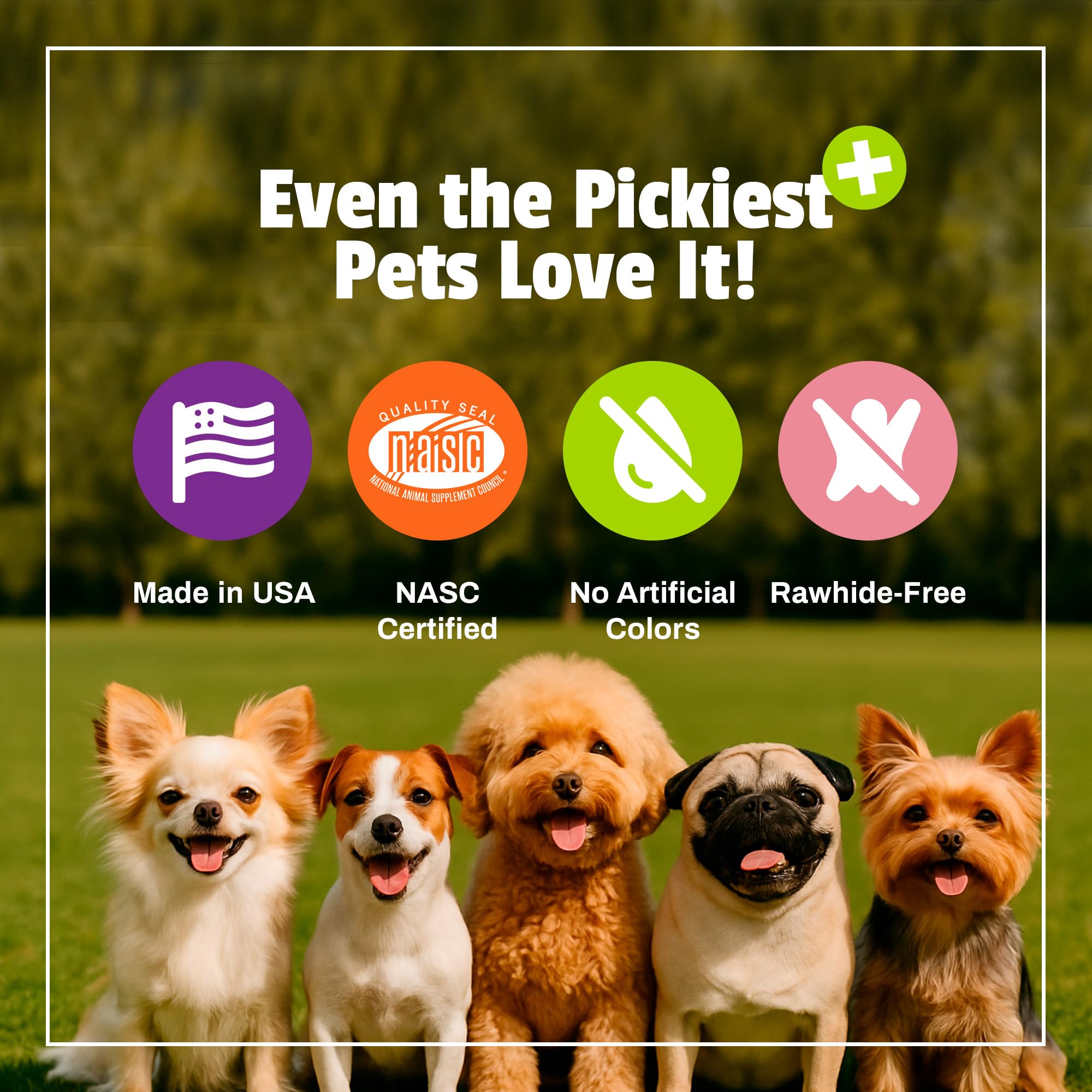 Pet Naturals BusyButter Balanced Belly Peanut Butter Bones, Rawhide-Free Chews for Small Dogs, Long Lasting Chew Bones, Probioti