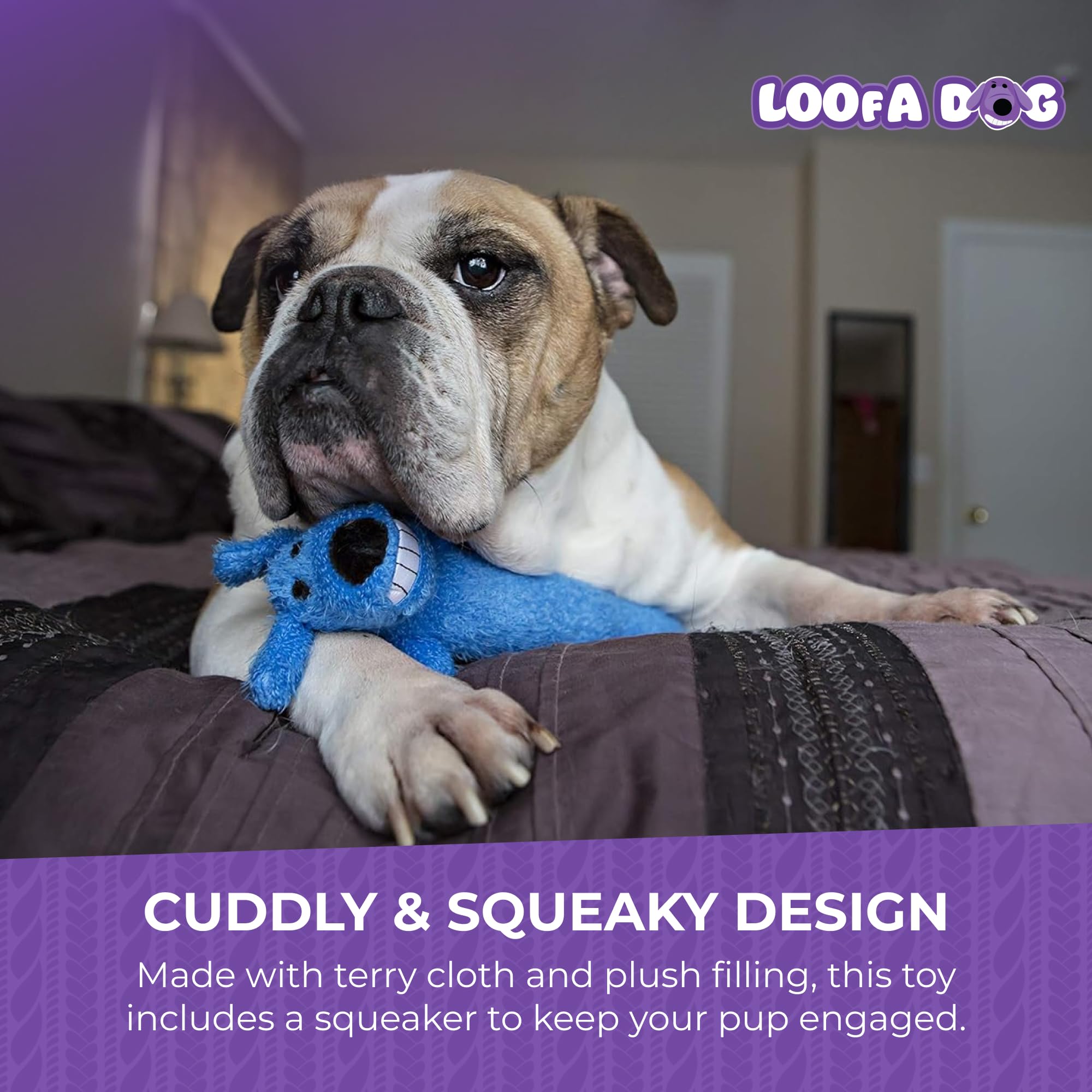 Multipet Original Loofa Dog Plush Toy - Squeaky Dog Toy for All Dogs - Extra Soft Plush Dog Toy - Stuffed Animal Dog Toy for Pla
