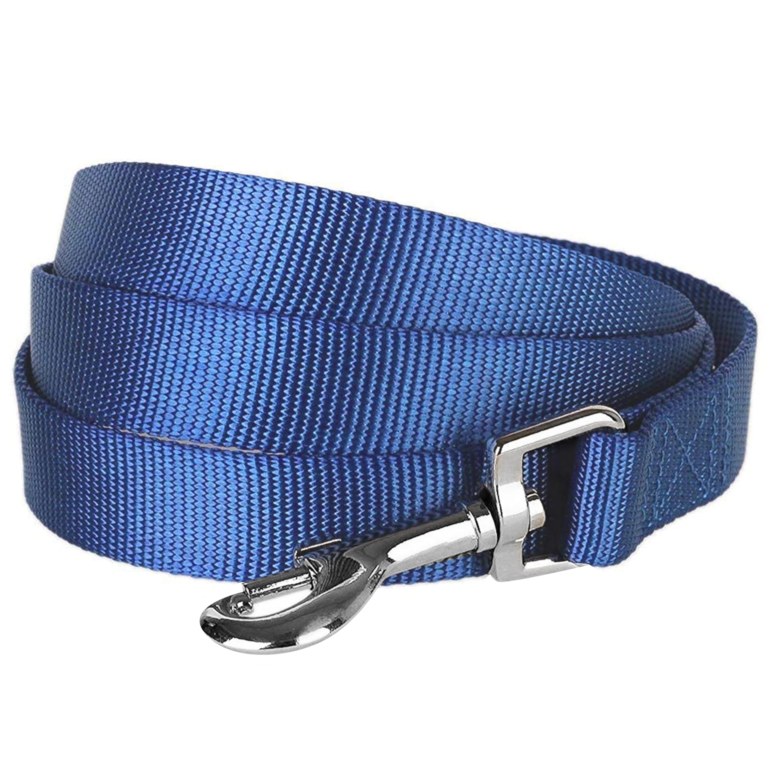 Blueberry Pet Essentials Durable Classic Dog Leash | Basic Nylon Dog Leash | 5Ft. X 5/8' Small Dog Leash | Royal Blue Dog Leash | Standard Dog Leashes & Lightweight Dog Leash For Training