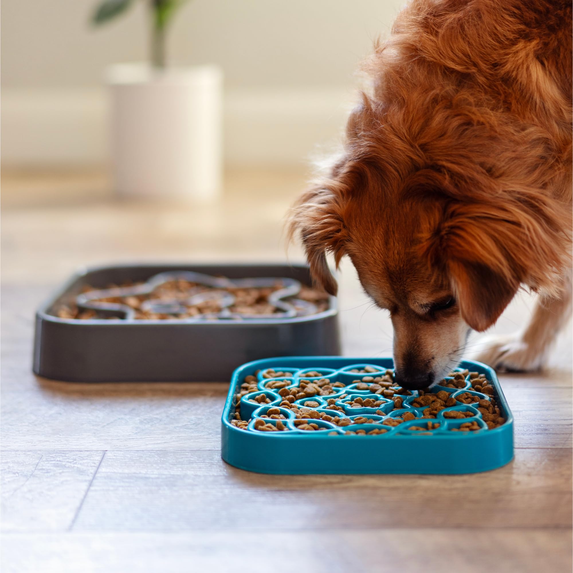 Messy Mutts and Cats Interactive Square Slow Feeder | Cool Grey (2 Cup) | 8    x 8    Square Puzzle Slow Feeder for Dogs/Cats |