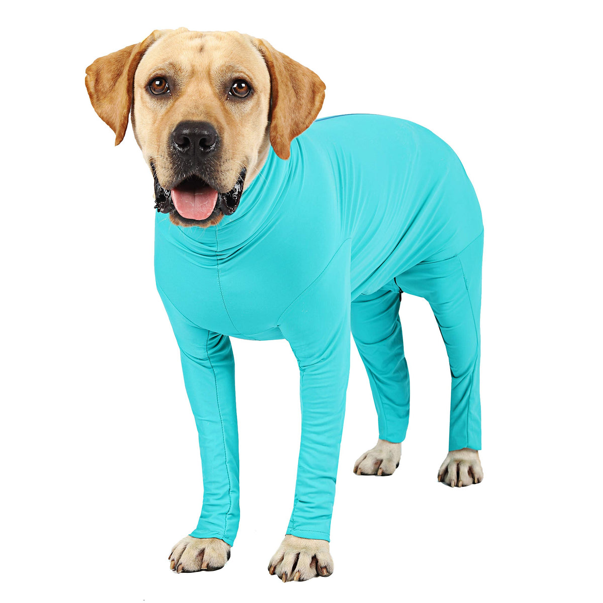 Etdane Dog Onesie After Surgery Pet Surgical Recovery Suit Anti Shedding Bodysuit For Female Male Dog Long Sleeve Claming Pajamas With Legs Blue/Xl