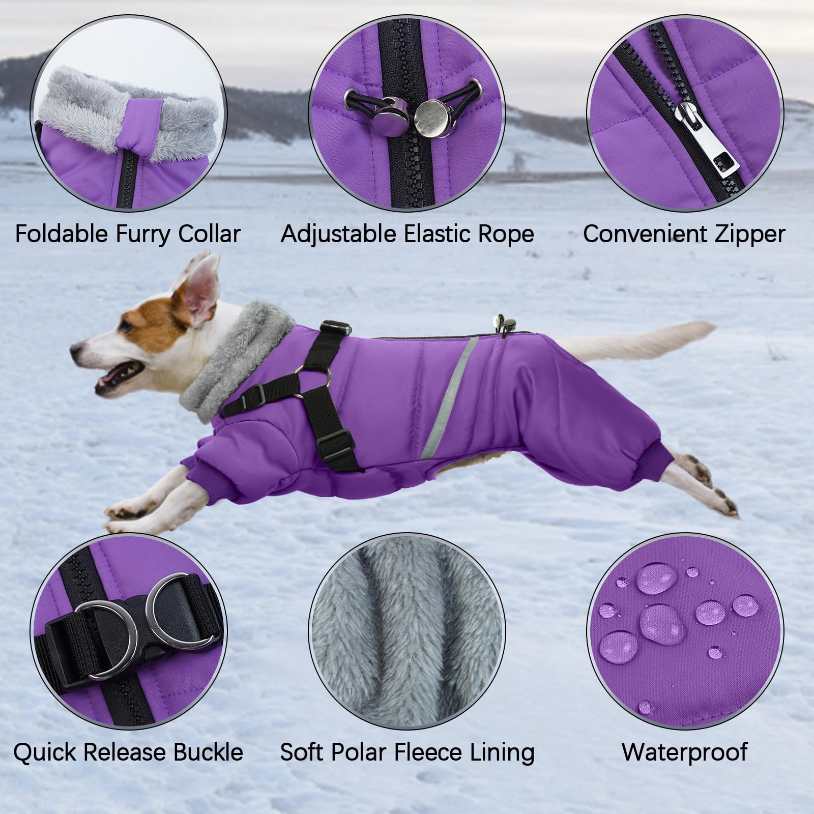 BRKURLEG Purple Dog Winter Coat with Harness, Waterproof, Medium