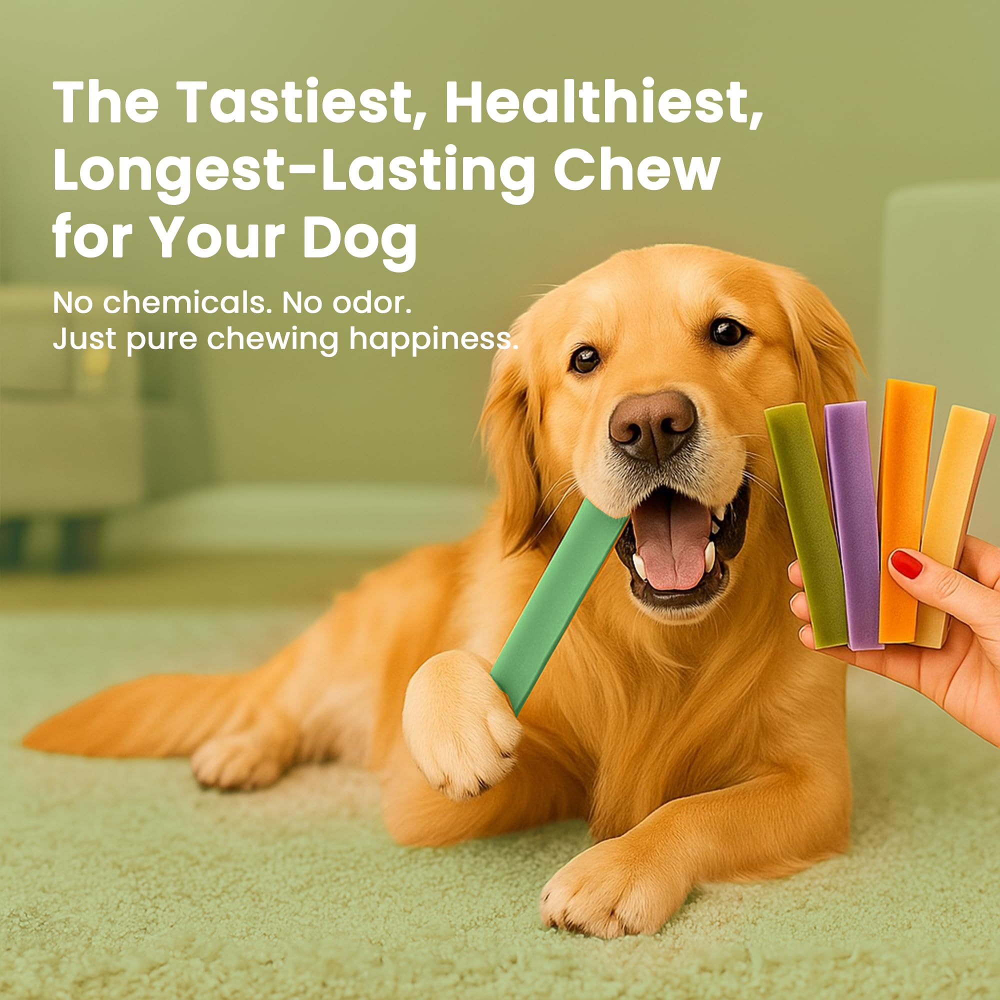 KATHMANDUS 100% Natural Mint Flavor Yak Chews - Keep Dogs Busy & Happy with Our Lactose & Rawhide Free Himalayan Dog Chews - Lo