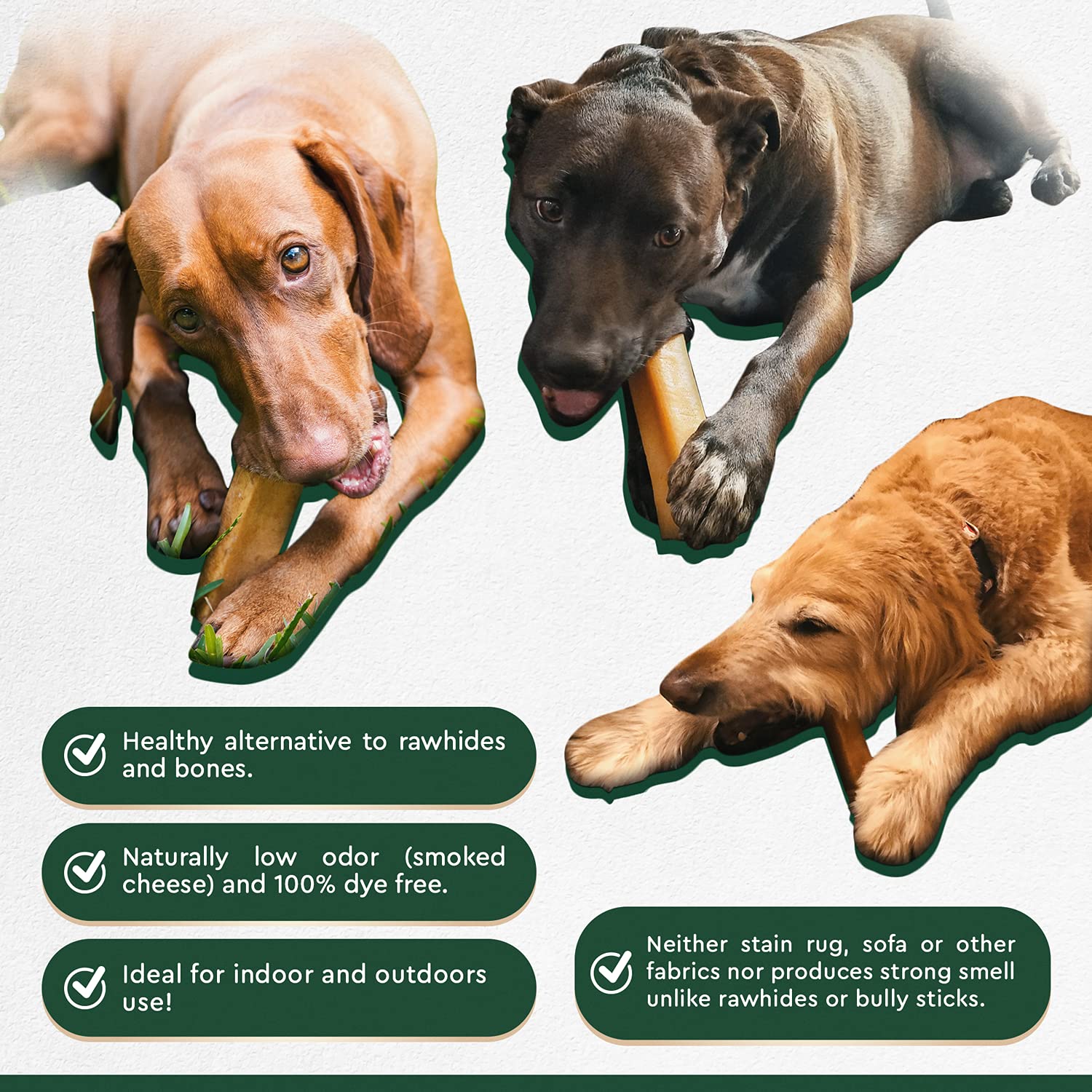 Authentic Himalayan Yak Cheese for Dogs - Large/XLarge (Pack of 4) - Sourced from Pristine Himalayan Foothill, Rawhide-Free, NO