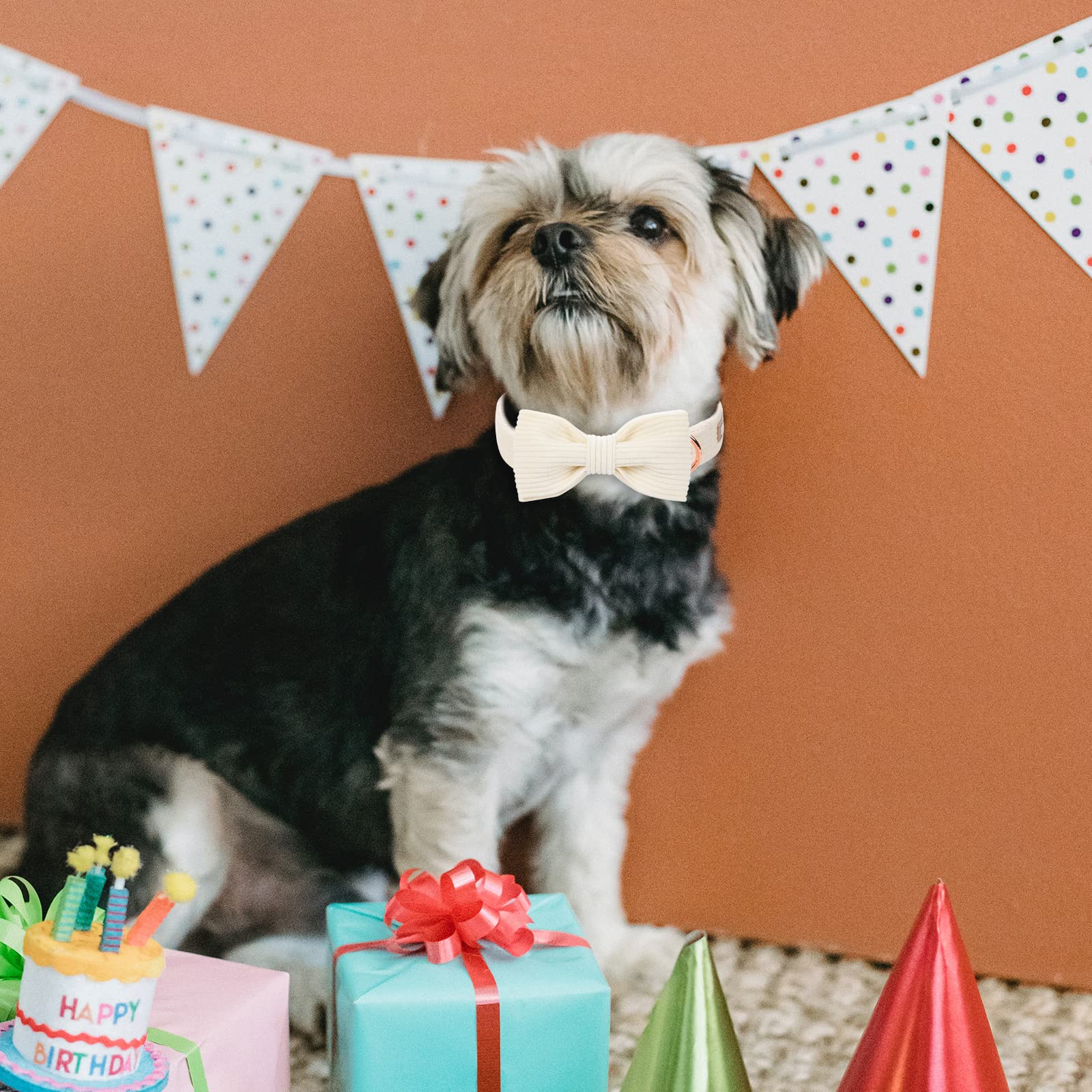 Babole Pet White Dog Collars for Large Dog,Cute Corduroy Dog Collar with Bow Tie Safety Metal Buckle Adjustable Puppy Collars fo