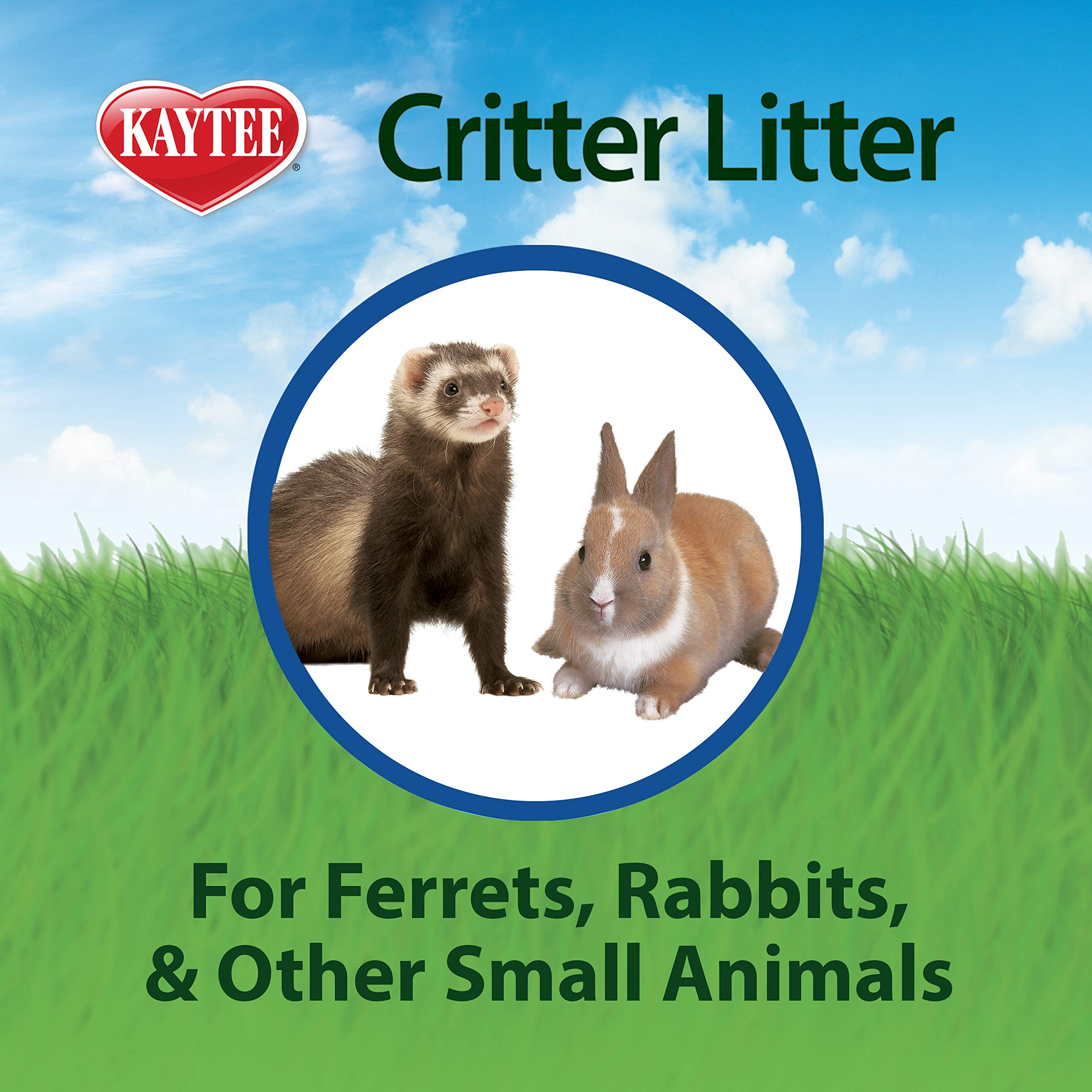 Kaytee Premium Potty Training Critter Litter For Pet Ferrets, Rabbits & Other Small Animals, 4-Pound