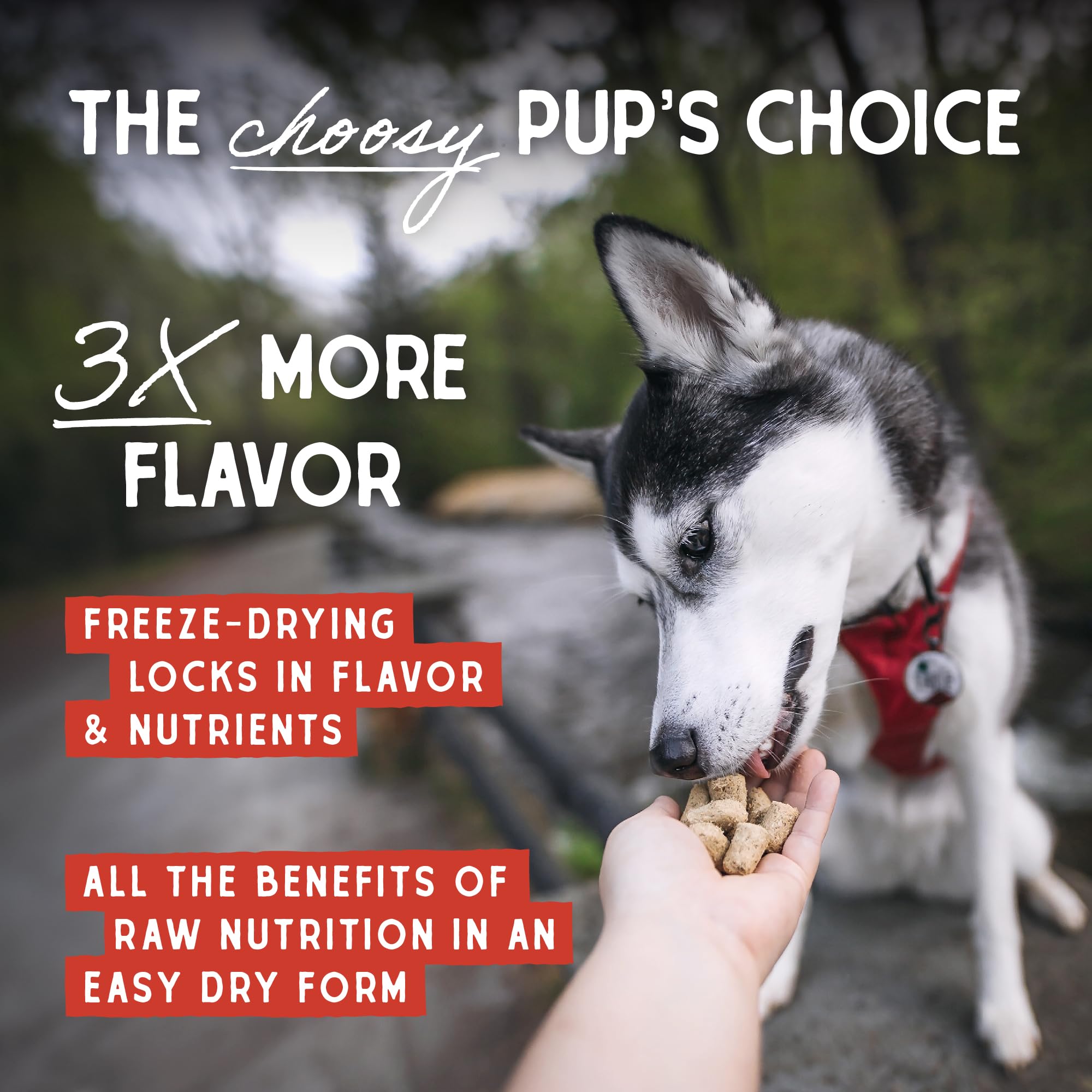 Stella & Chewys Freeze Dried Raw Duck Duck Goose Meal Mixer - Dog Food Topper for Small & Large Breeds - Grain Free, Protein Ri