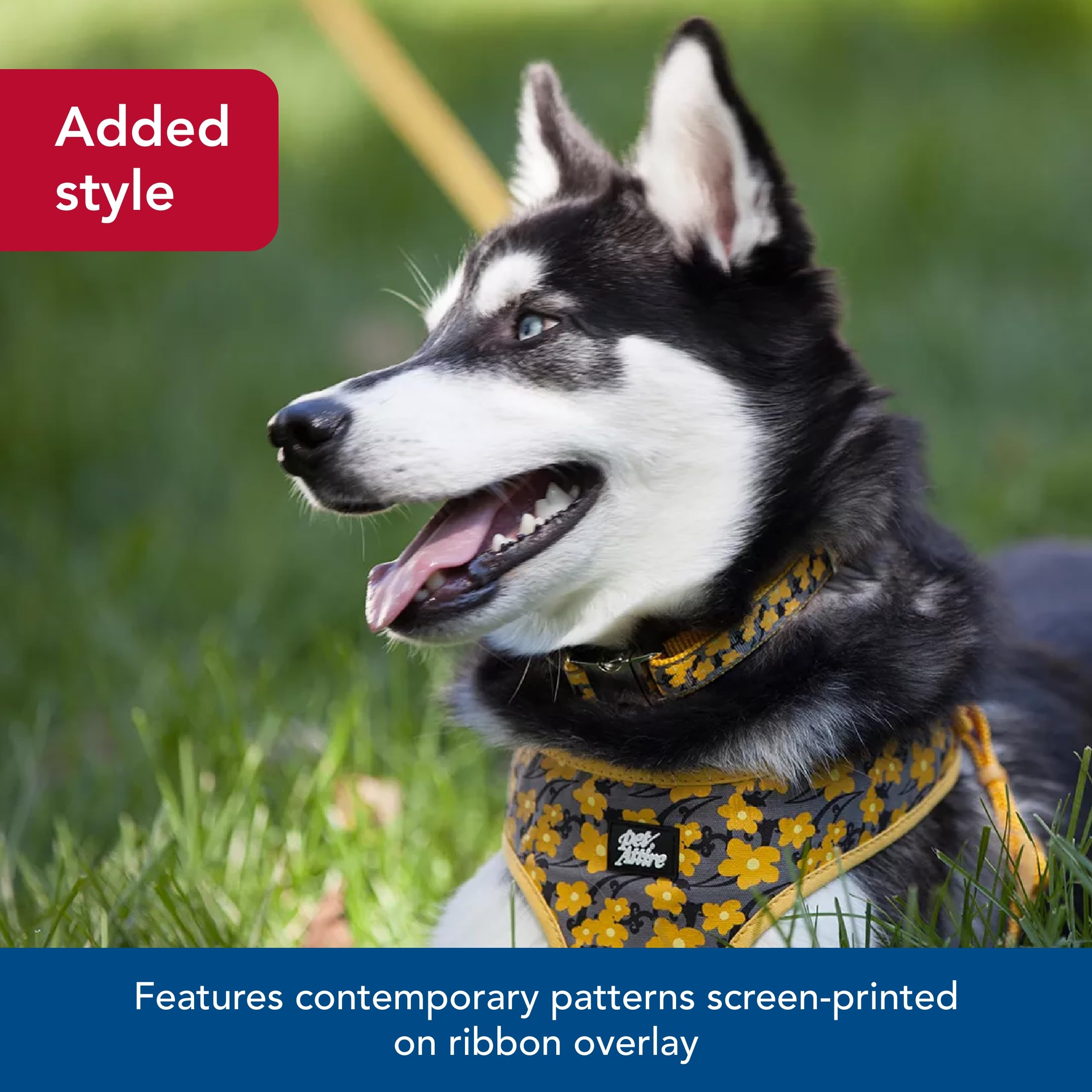 Coastal Pet - Ribbon - Adjustable Dog Collar With Metal Buckle, Brown Paws And Bones, 1' X 18'-26'