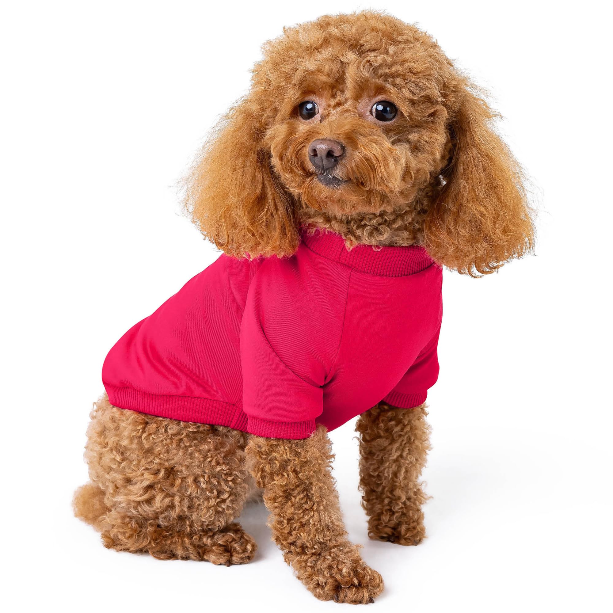 Rocky Thermal Jacket Clothes Fleece Lined Sweater For Dogs, Puppies, Warm Coat Bodysuit Onesie One Piece Vest Pet Jammies With L