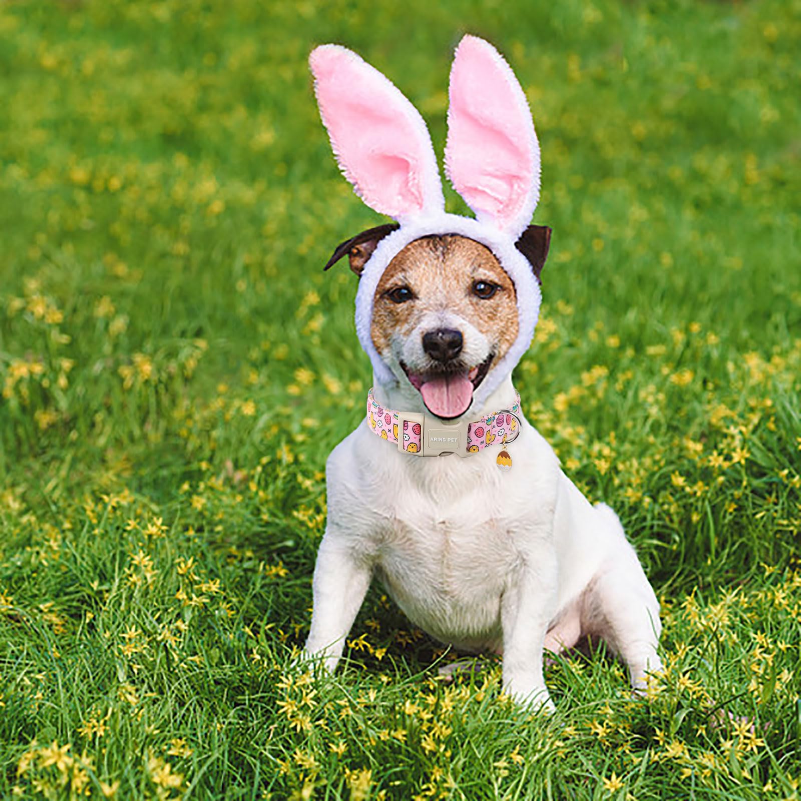Aring Pet Easter Dog Collar-Cute Easter Eggs Dog Collar, Adjustable Pink Chick Pet Collars Puppy Collar Gifts With Quick Release