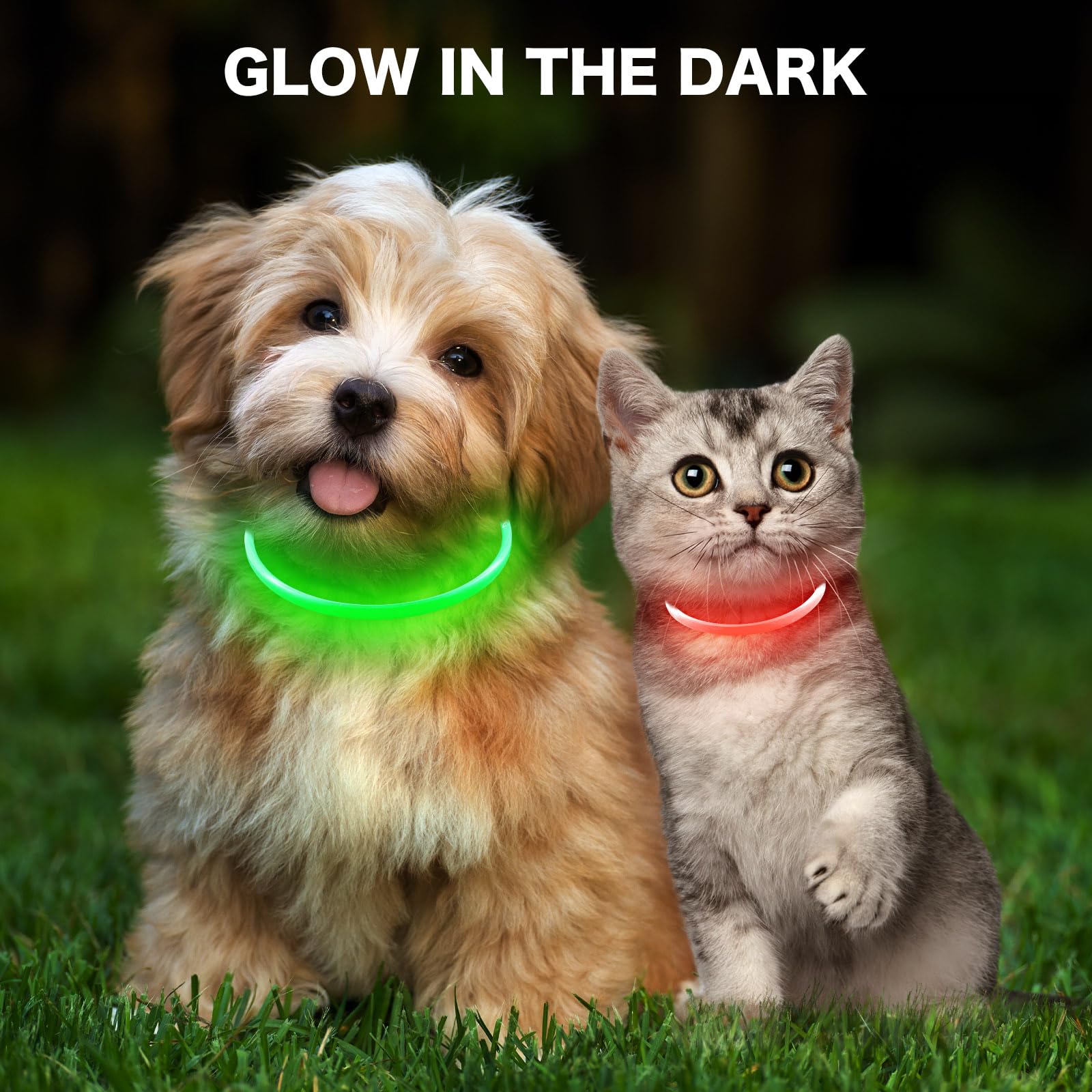 Bseen Light Up Dog Collar - Rainproof Led Dog Collar Rechargeable - Tpu Cuttable Glowing Puppy Collar For Small Dogs& Cats, High