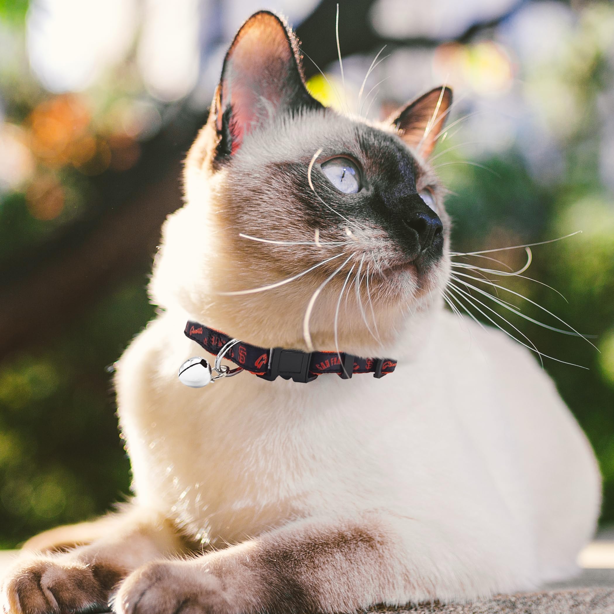 Mlb Cat Collar San Francisco Giants Satin Cat Collar Baseball Team Collar For Dogs & Cats. A Shiny & Colorful Cat Collar With Ri